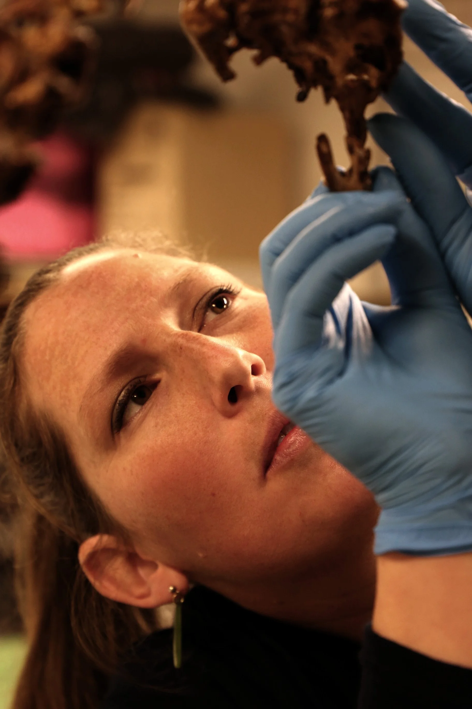 Hiring a Private Conservator