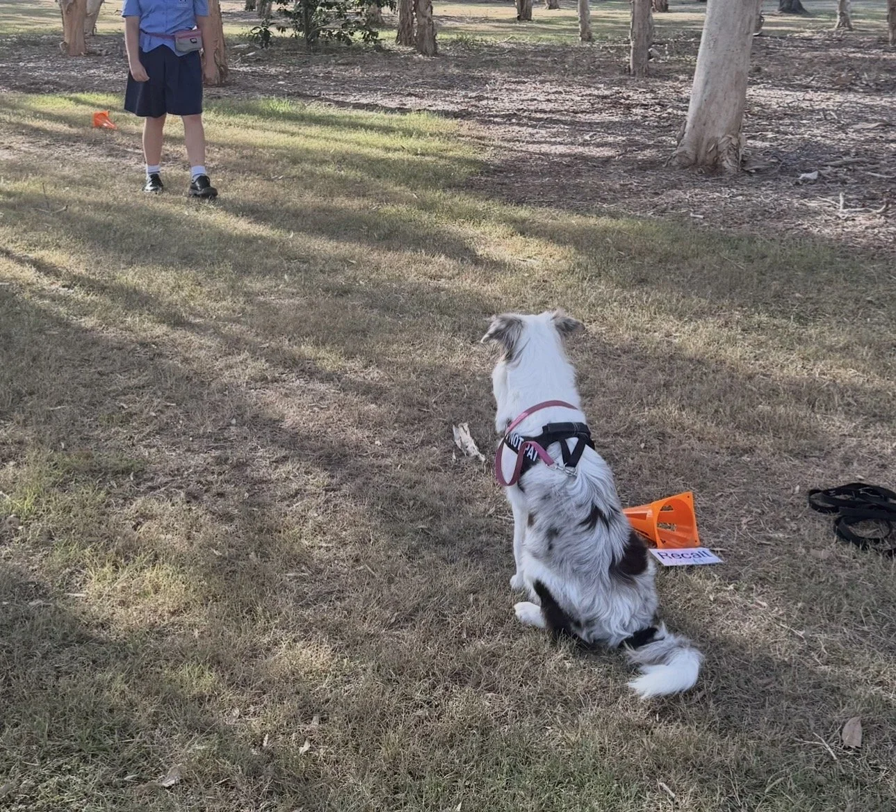 One-on-One Training Sessions