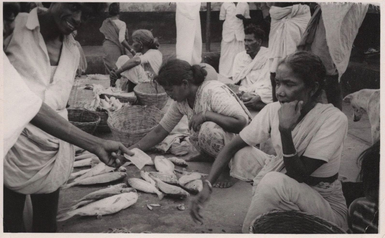 Pulicat Fish Market

Late afternoon. Feb. 1964