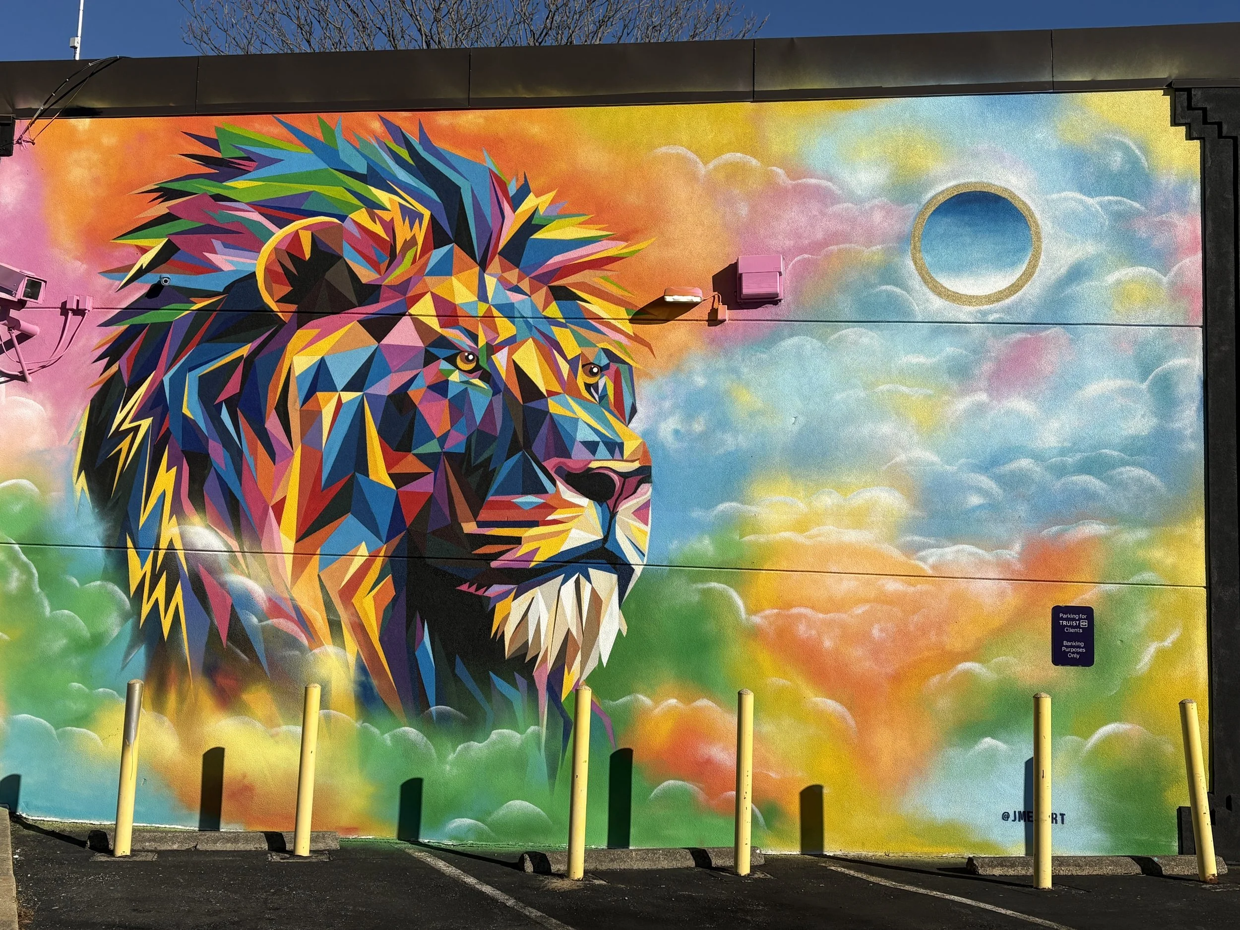 The Lion of Anacostia Mural Jesse Melanson Historic Anacostia MLK Jr AVe