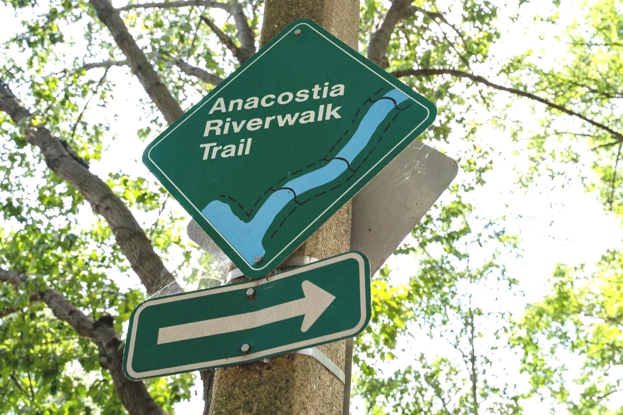 Anacostia Riverwalk Trail