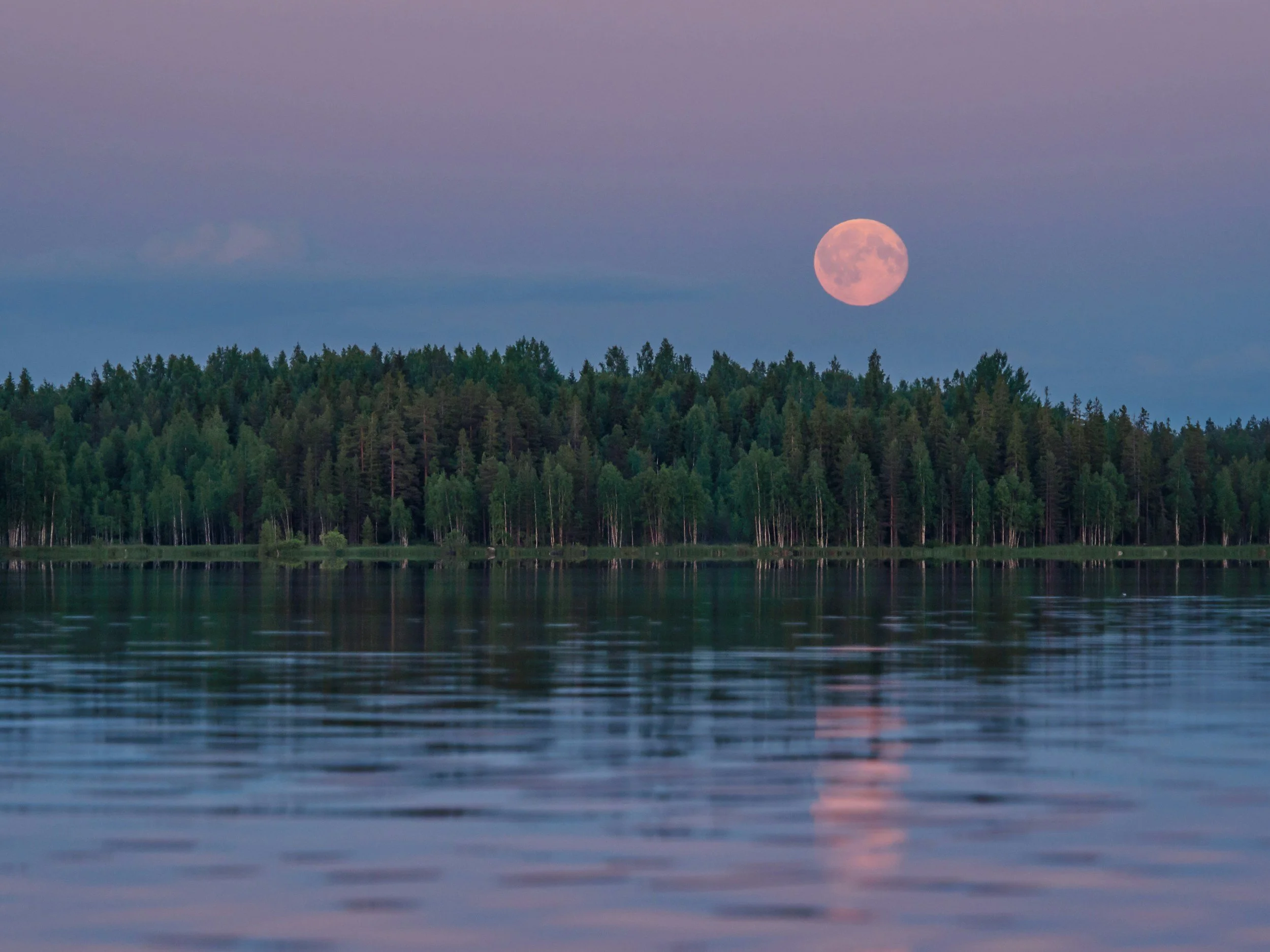 Why the Full Moon Is the Perfect Time for Reflection