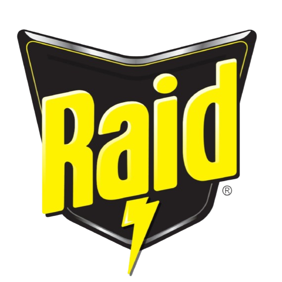 Raid logo featuring a black shield with yellow text and a lightning bolt.