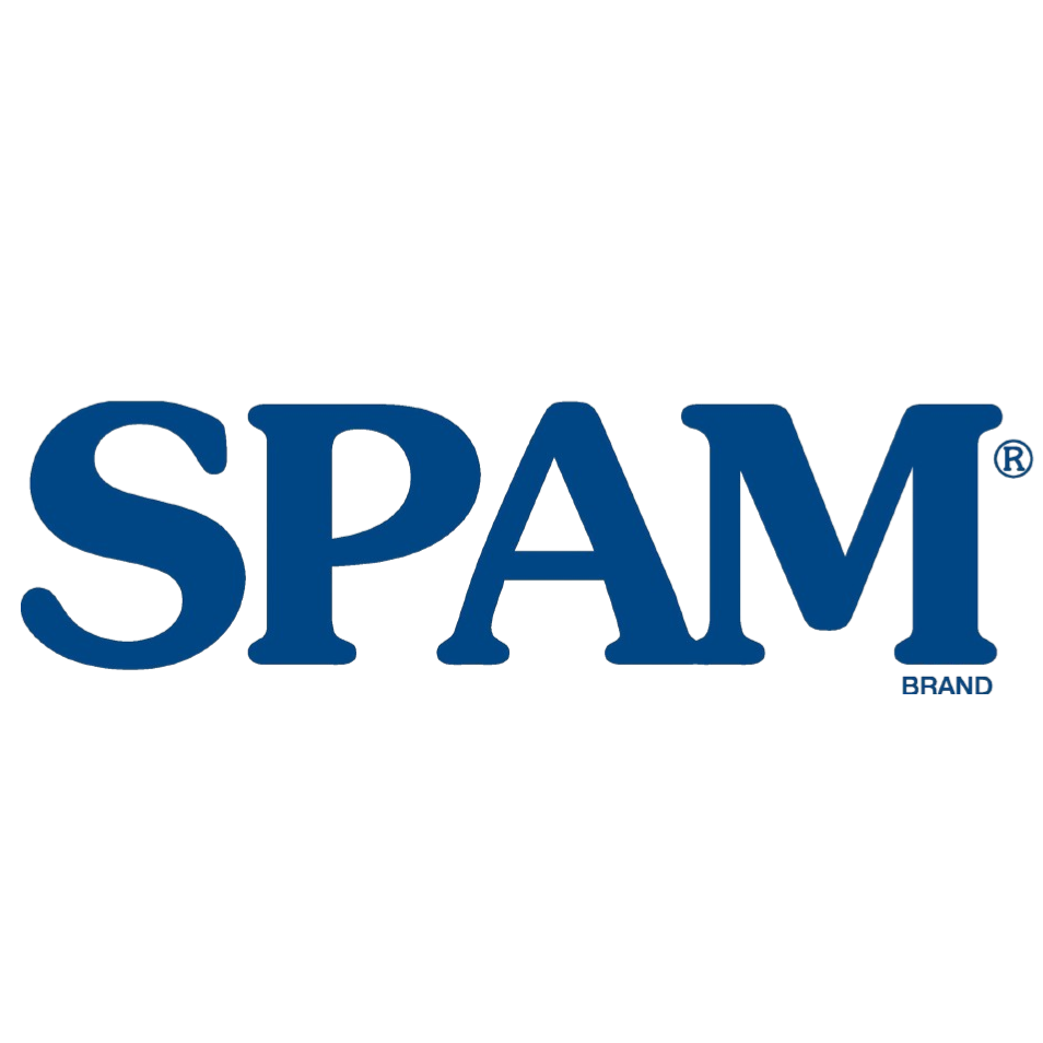 The word "SPAM" in large blue letters against a black background.