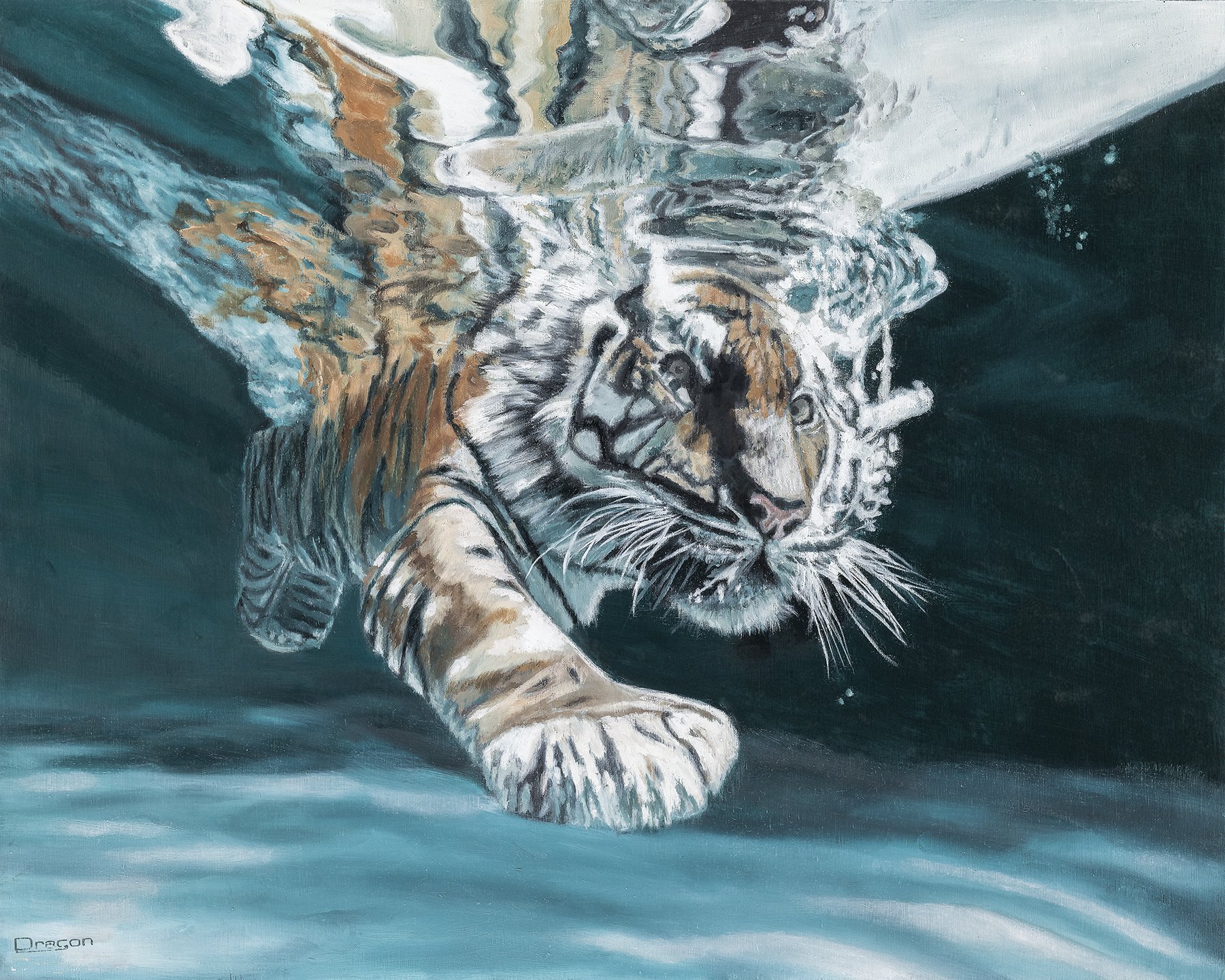 Absortion Feline Original