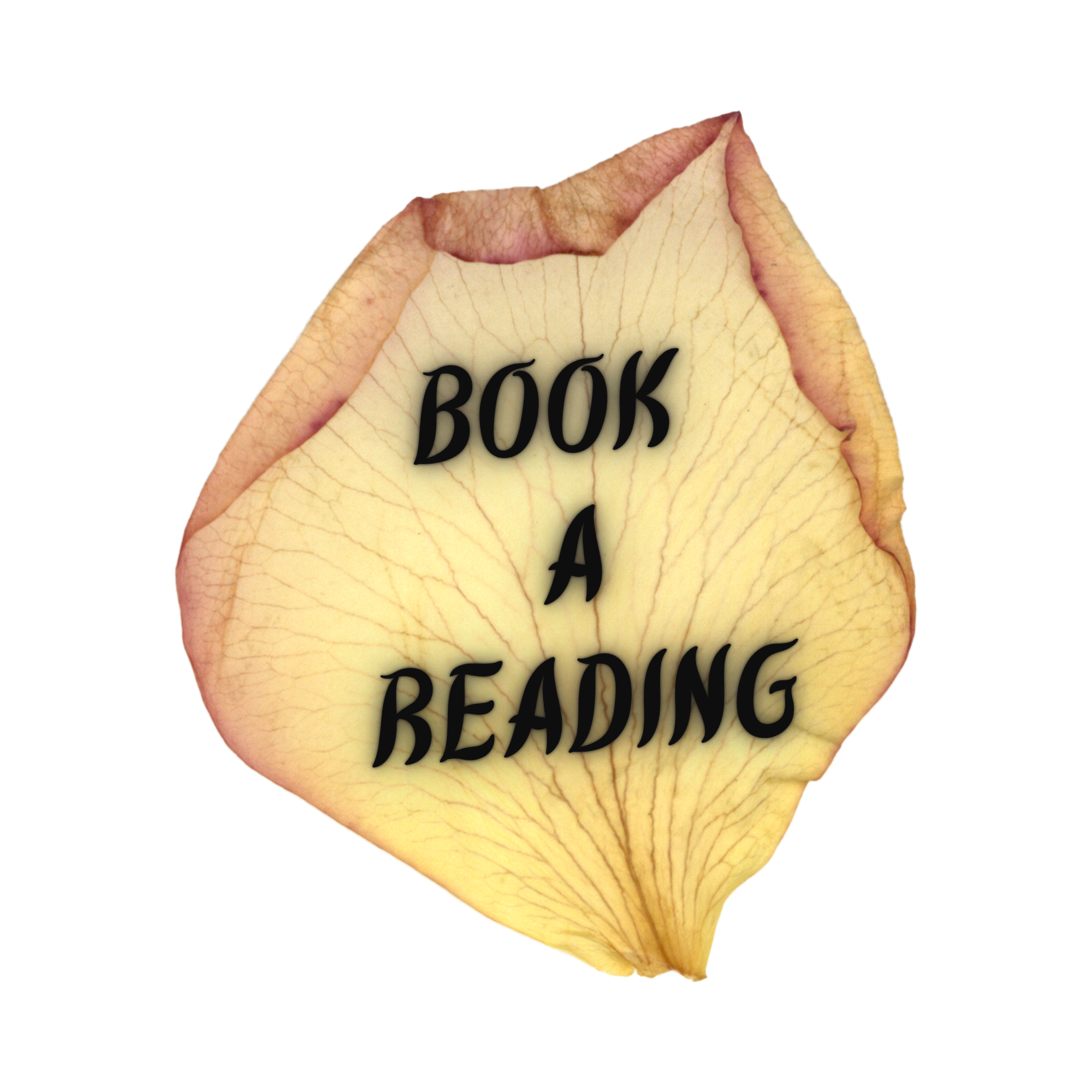 A dried, yellowish flower petal with the words 'BOOK A READING' written in black text across it.