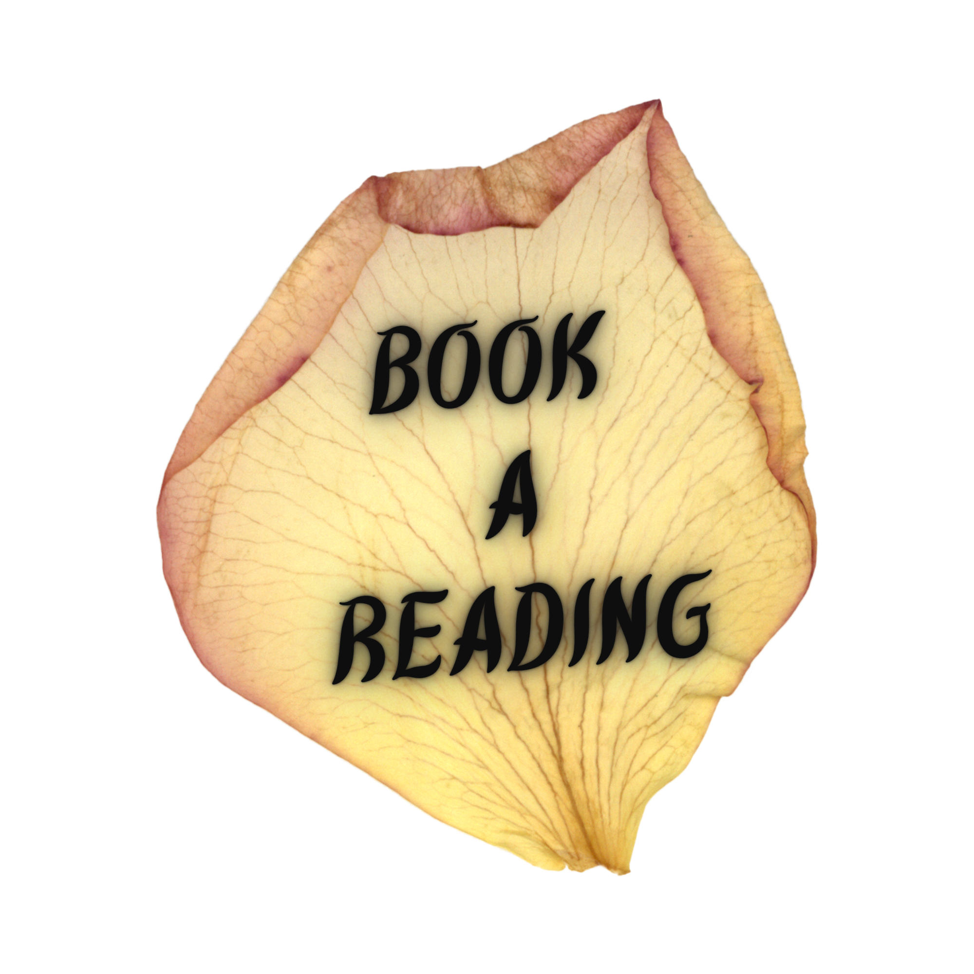 A dried flower petal with the text 'BOOK A READING' written on it.
