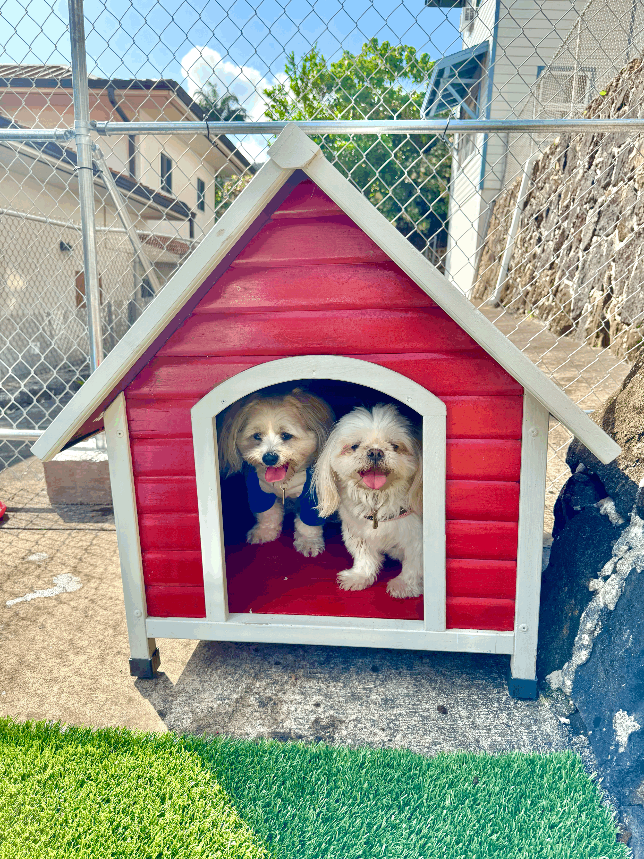 House Sitting - Clients Home