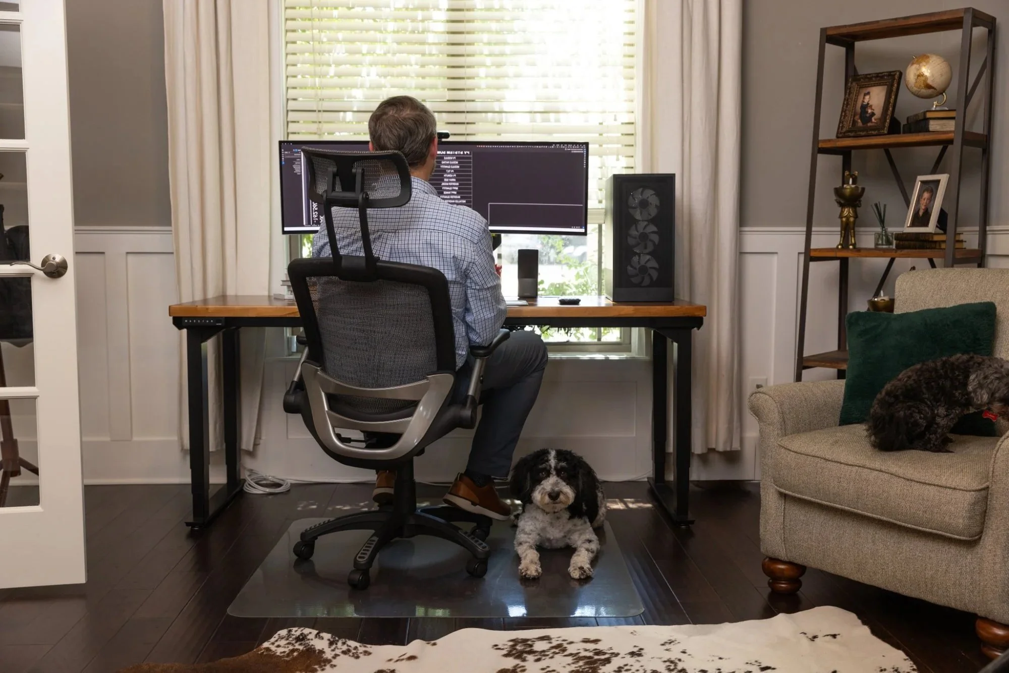 A person seated at a wooden desk with dual monitors, working on a computer in a brightly lit room with large window blinds. There are two dogs in the scene: a black and white puppy sitting near the person's feet and a small brown dog lying on a beige couch.