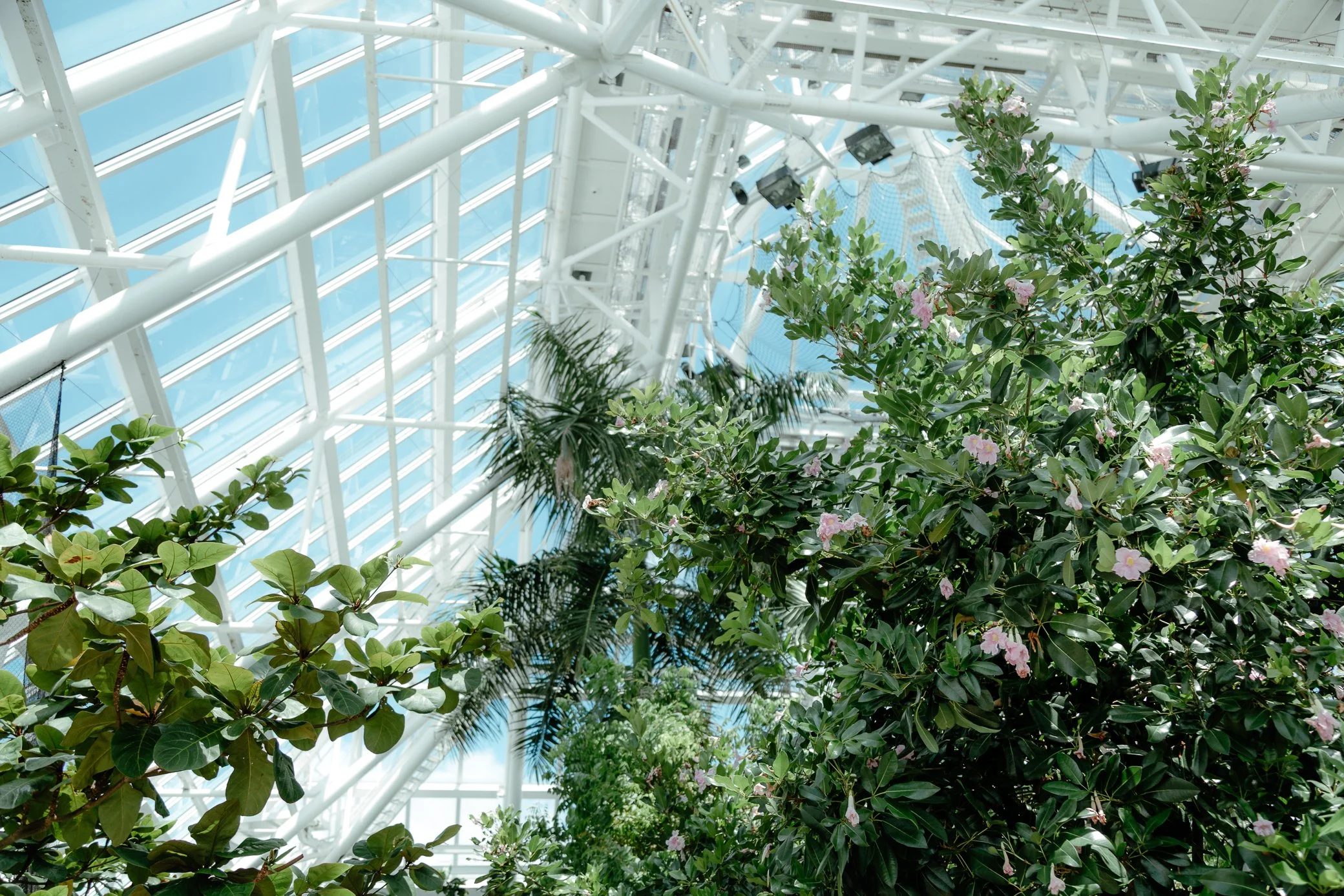 MOODYGARDENS-GALVESTON-TX-web-5350.jpg
