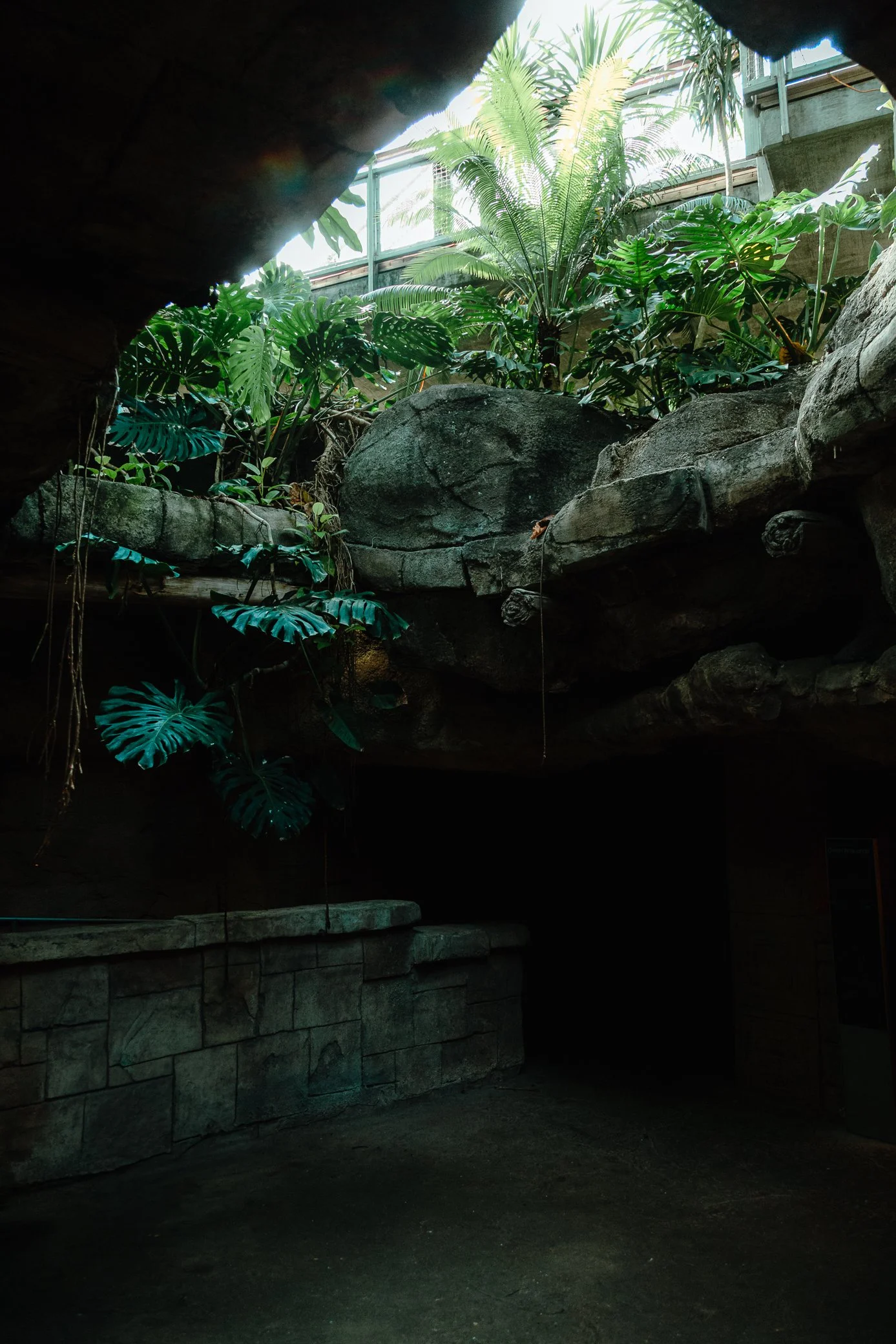 MOODYGARDENS-GALVESTON-TX-web-5664.jpg