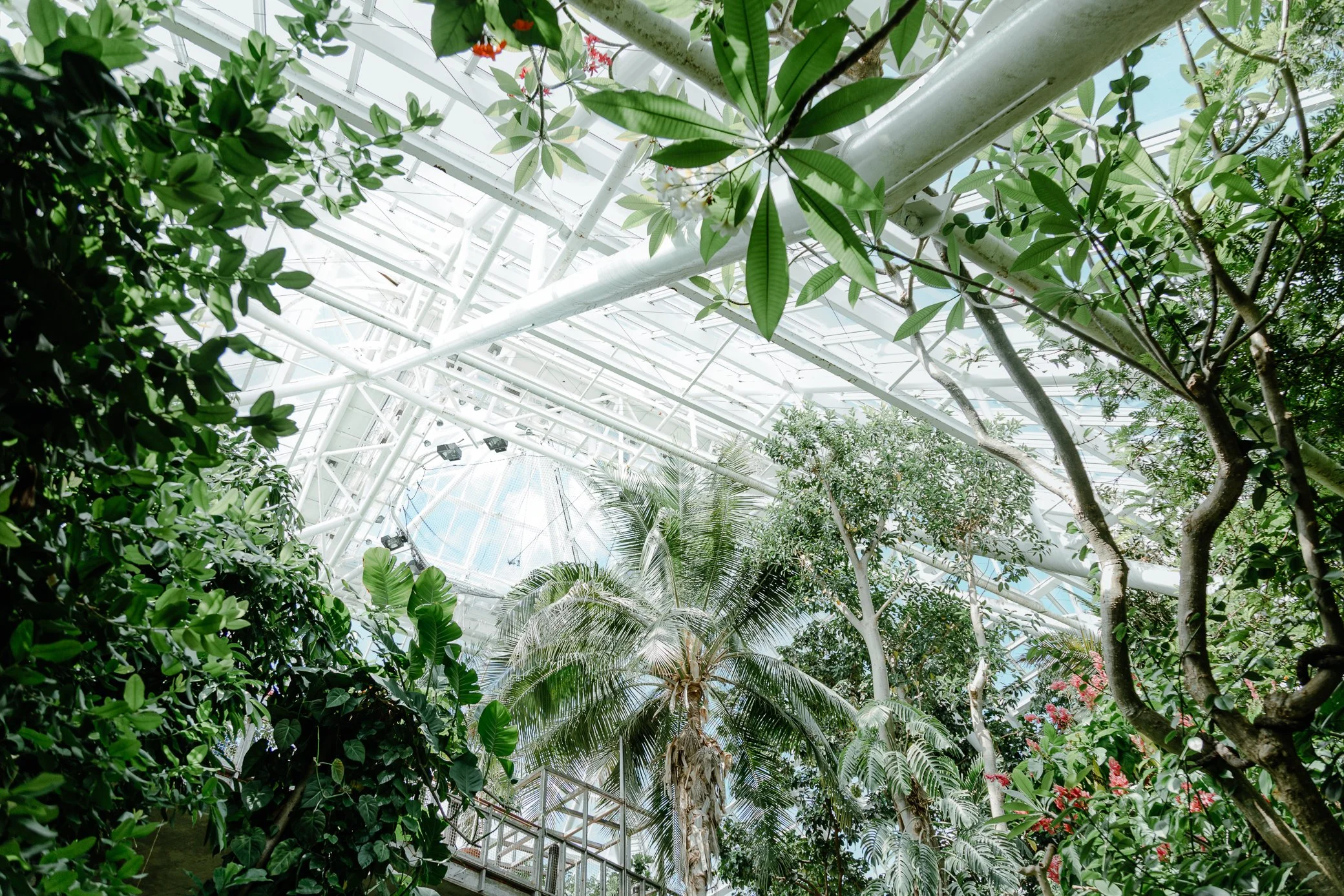 MOODYGARDENS-GALVESTON-TX-web-5497.jpg