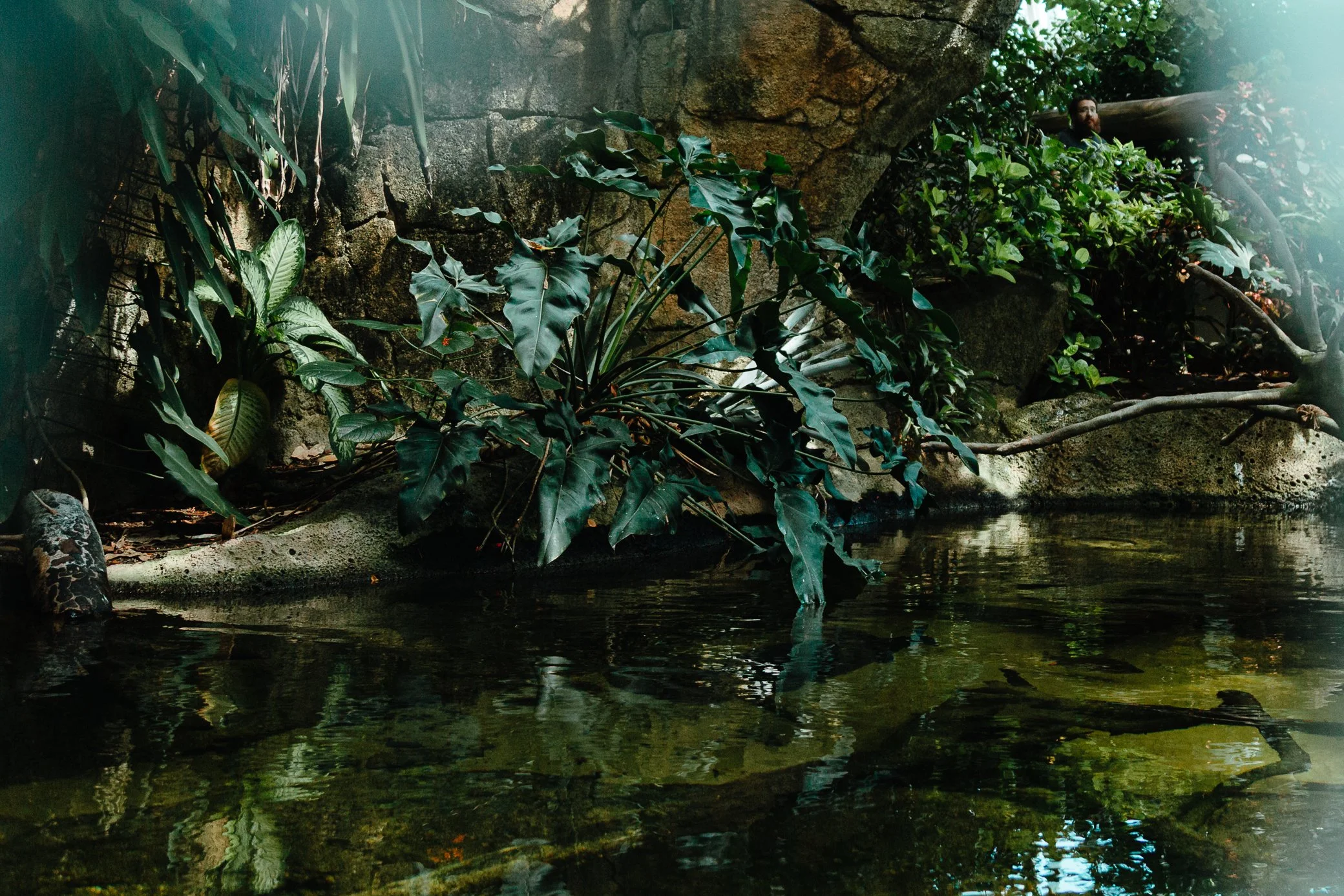 MOODYGARDENS-GALVESTON-TX-web-5621.jpg