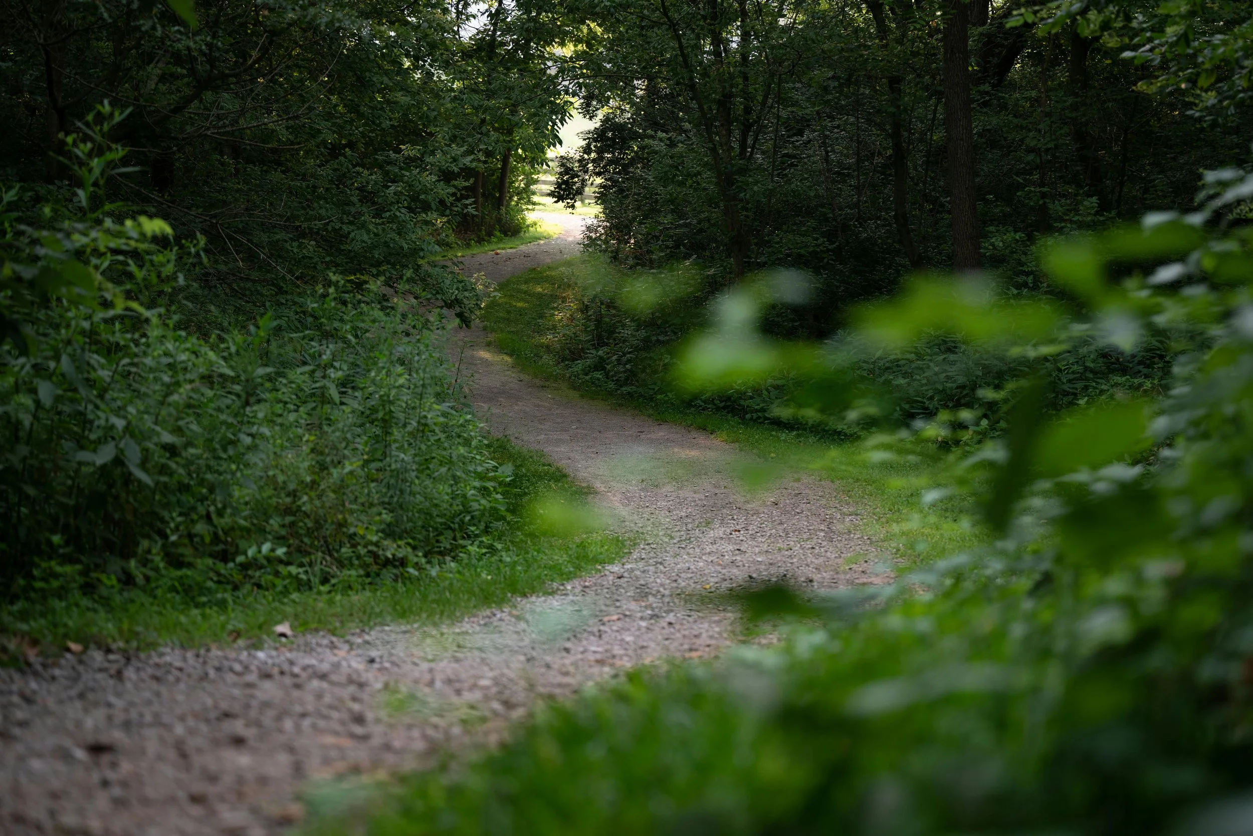 Damon’s journey