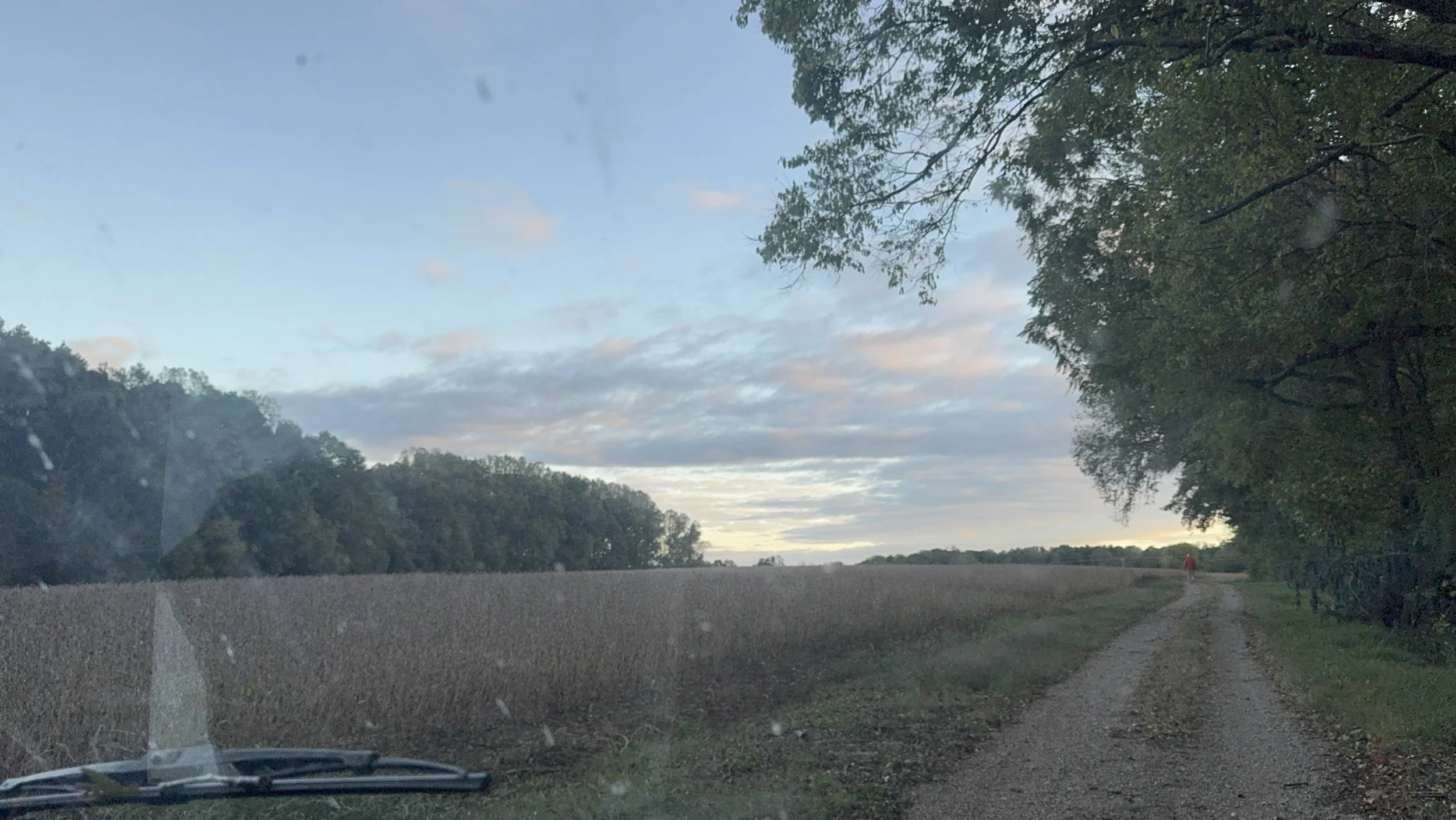The long driveway entrance