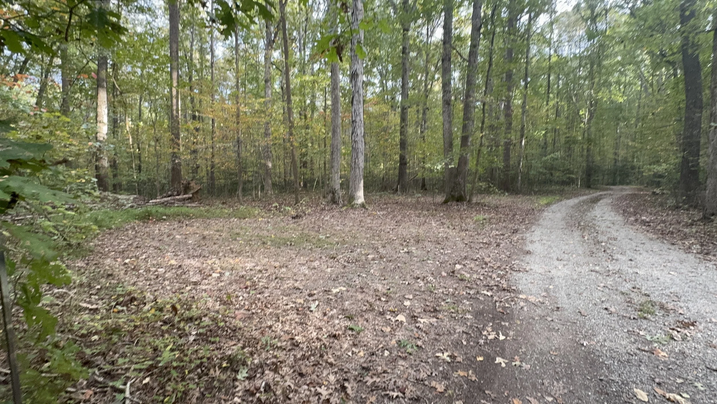 Vehicle camping and general parking