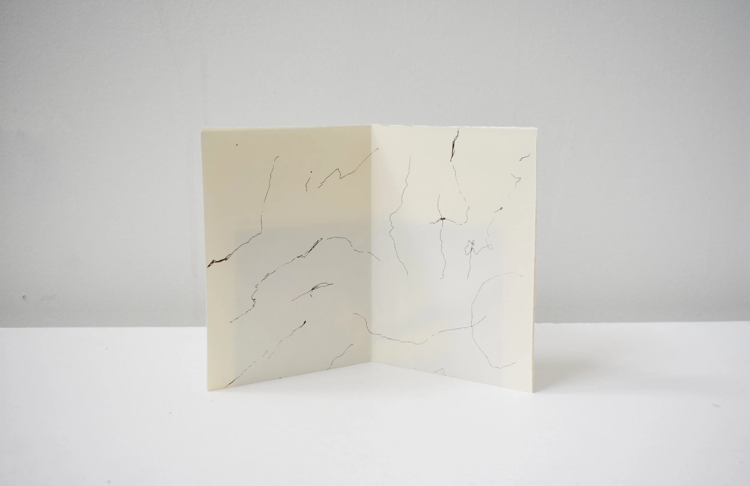 The line, 2025. Serigraph on paper.