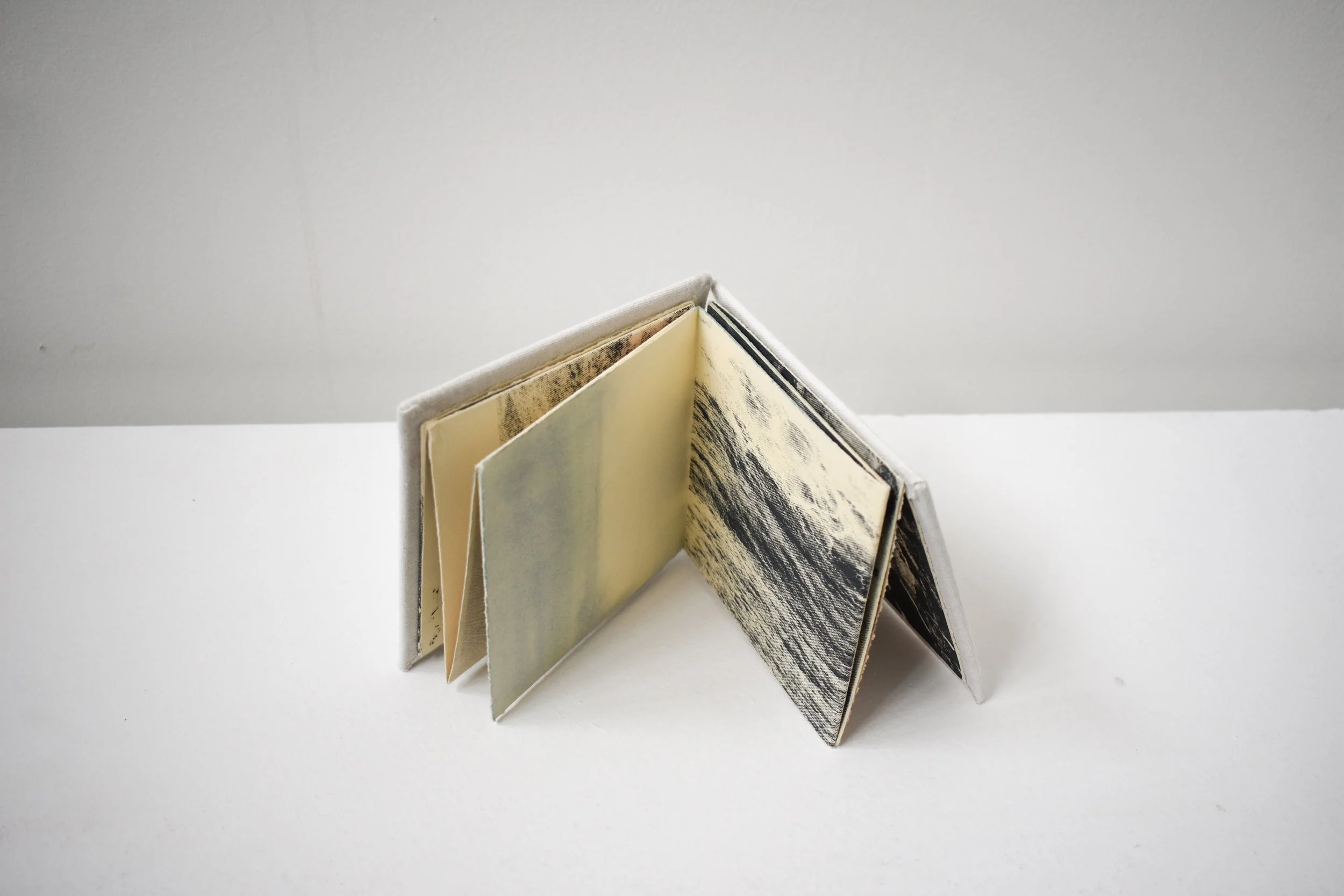 Camino, 2025  ·  Serigraph and watercolor on paper, artist book, edition of 4 