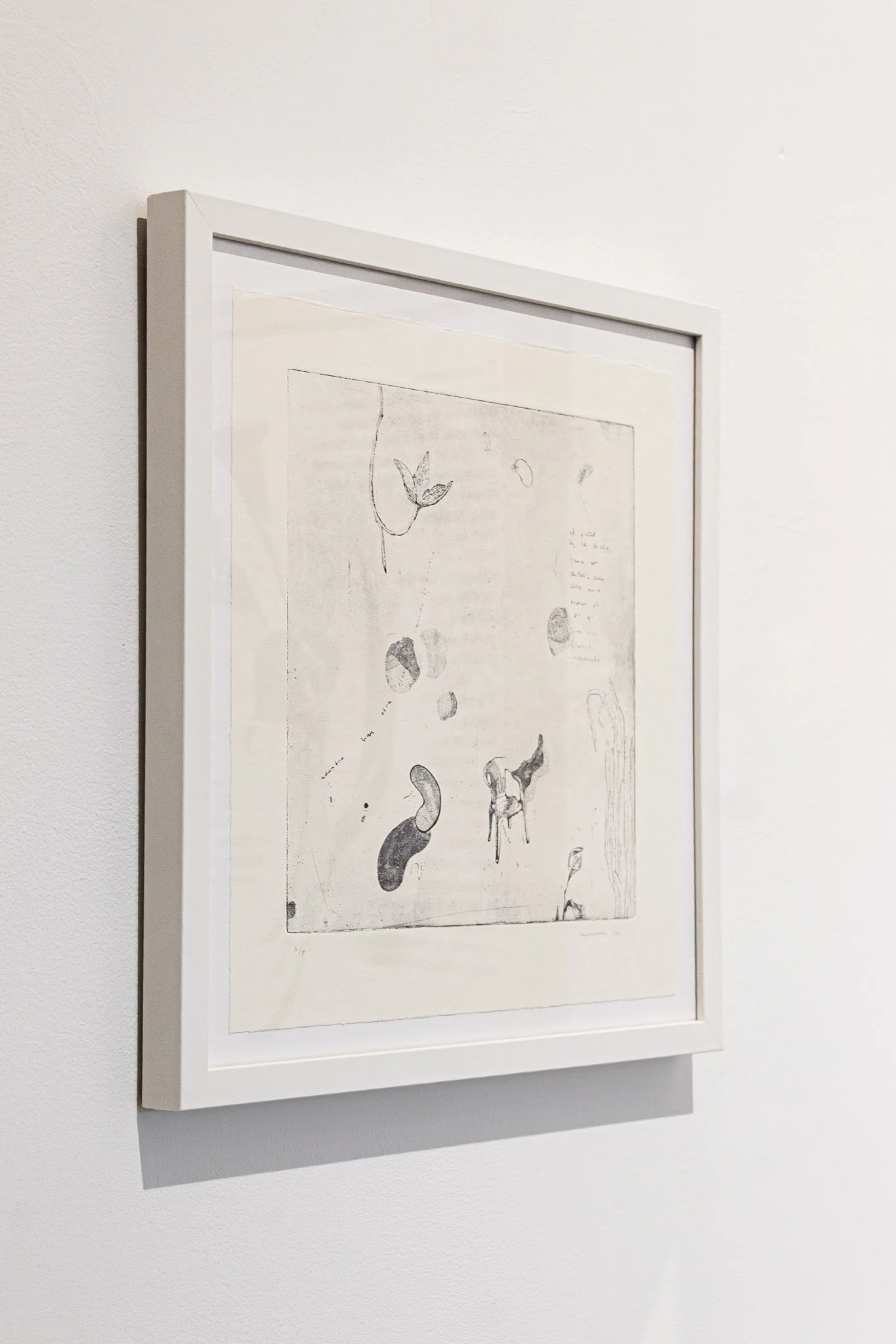 Adentro hay otra flor, no recuerdo su nombre, 2024. Aquatint etching on BFK Rives 250 g, 15” x 15"