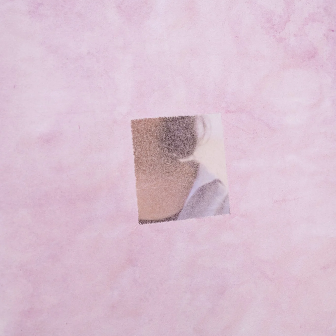 ¿Qué hay del otro lado?/ What's on the other side? Mulberry paper dyed with cochineal, monotype and tengucho paper repairs.