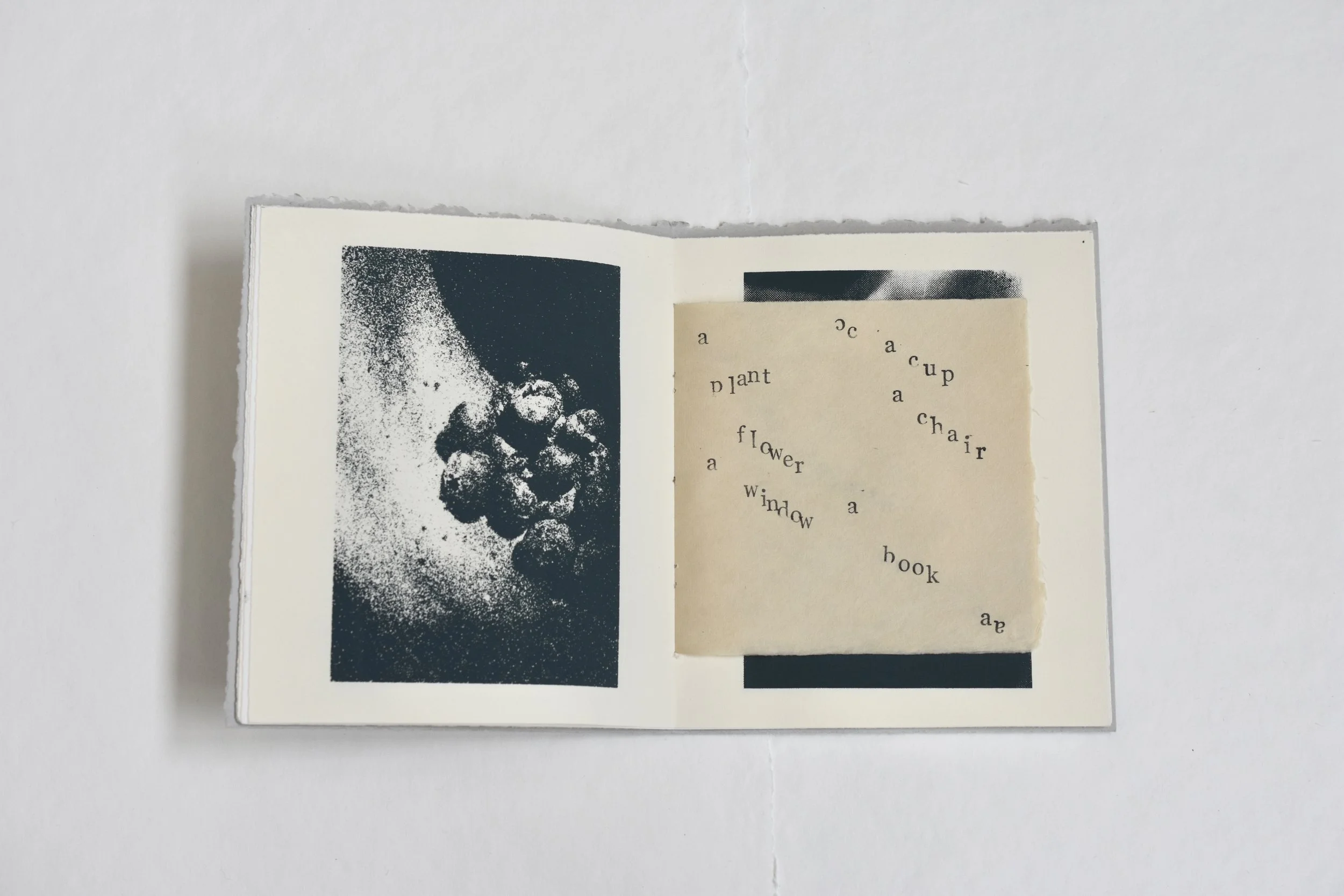 Recollecting, Rename, Recordar
2025  ·  Screenprinted artist book, edition of 4 