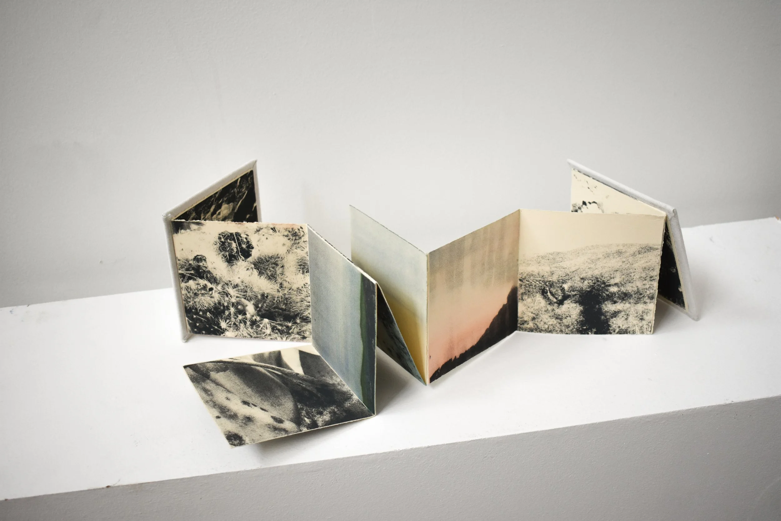 Camino, 2025  ·  Serigraph and watercolor on paper, artist book, edition of 4 