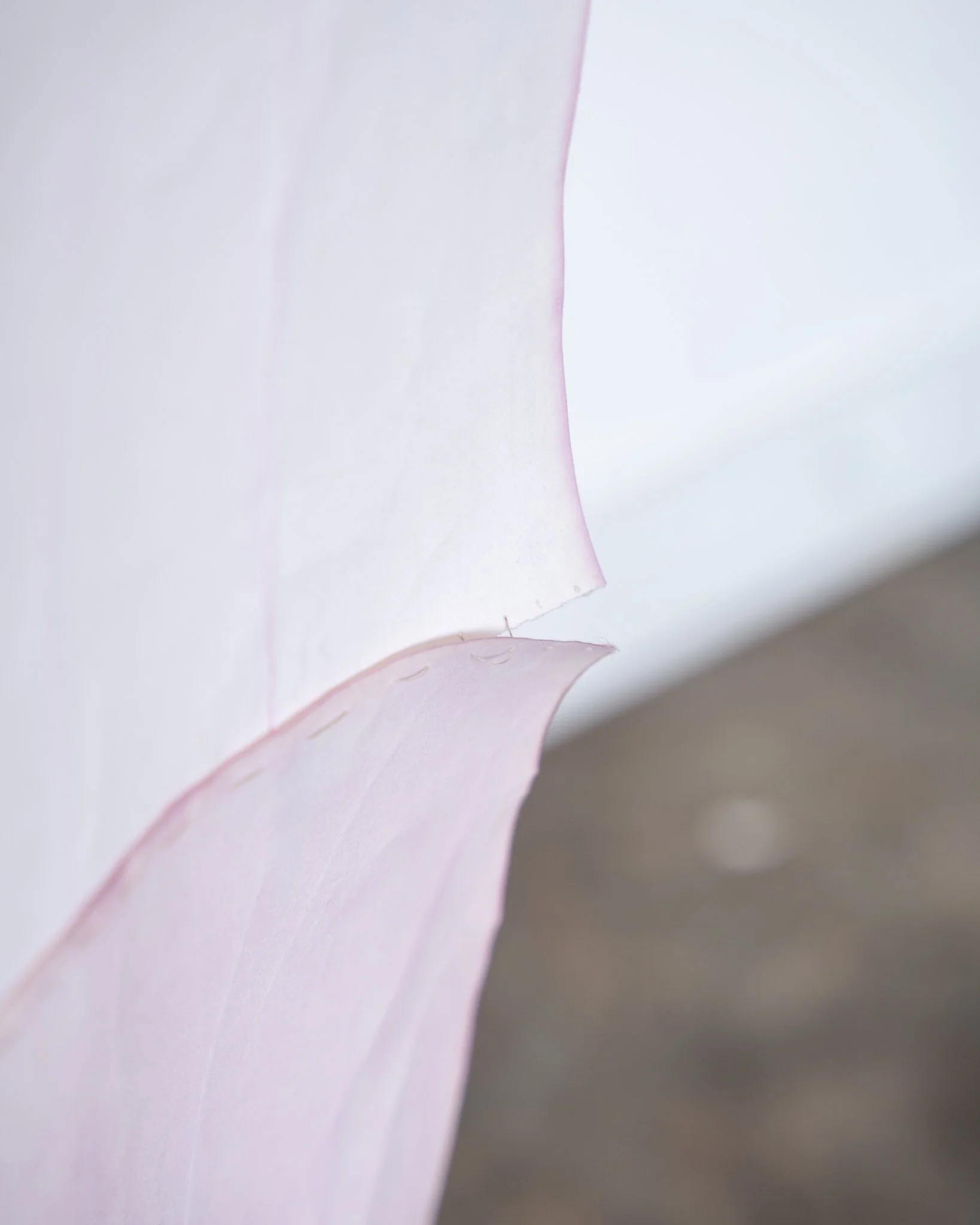 Trayecto I. Monotype and cochineal dye on rice paper, hand-stitched, 14” × 138”