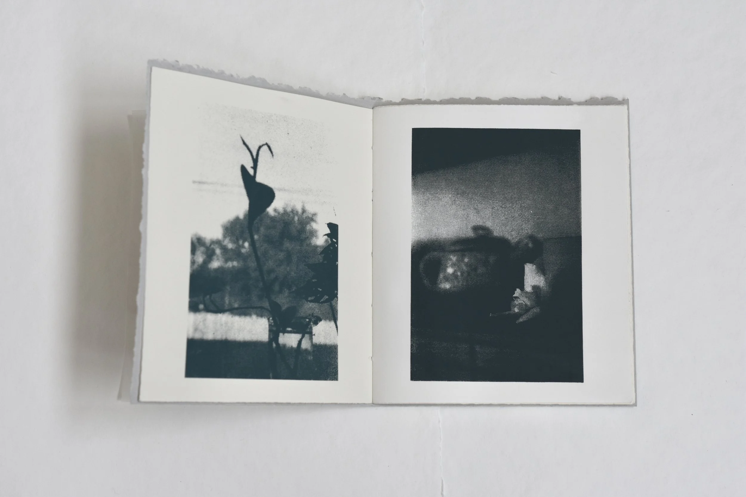 Recollecting, Rename, Recordar
2025  ·  Screenprinted artist book, edition of 4 