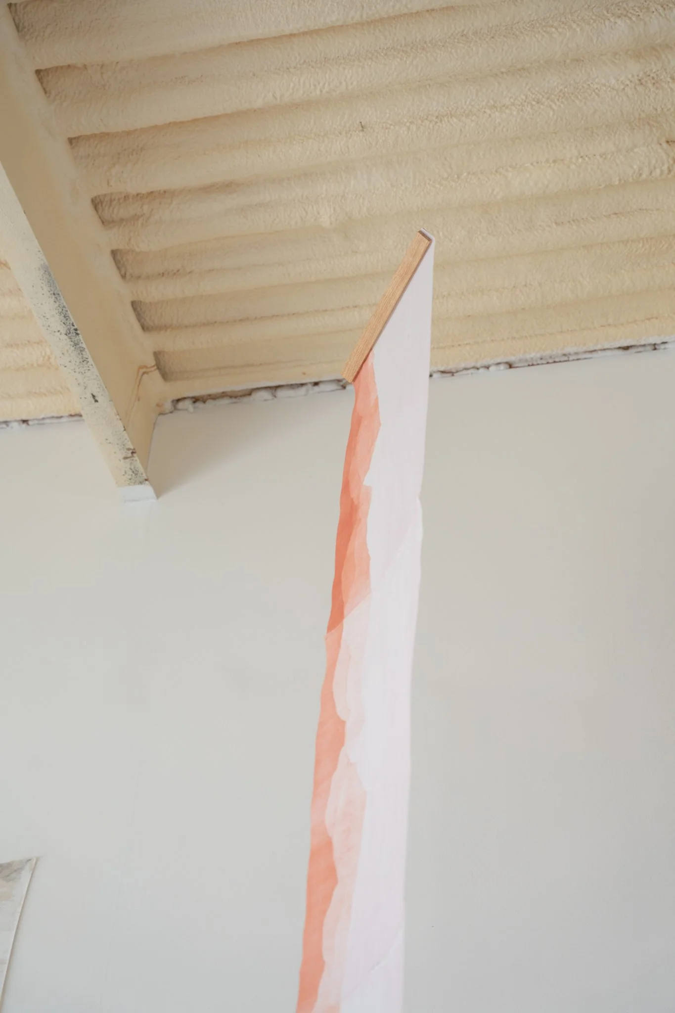 Trayecto I. Monotype and cochineal dye on rice paper, hand-stitched, 14” × 138”