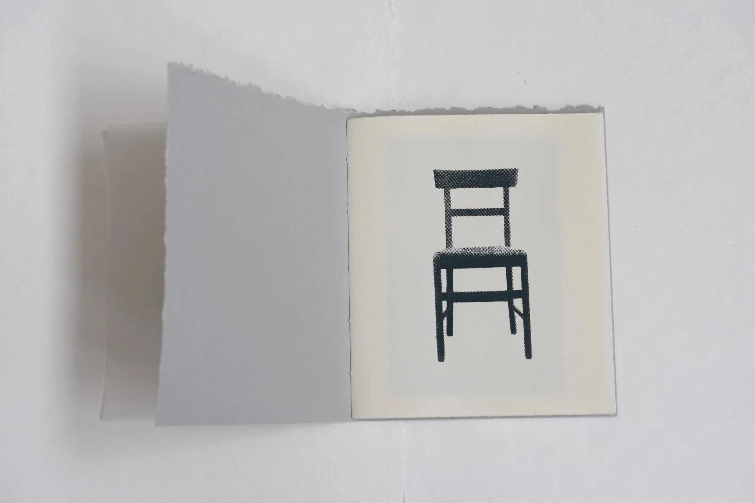 Recollecting, Rename, Recordar
2025  ·  Screenprinted artist book, edition of 4 