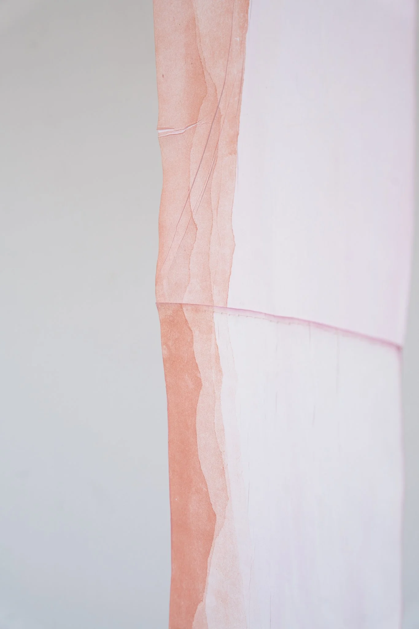 Trayecto I. Monotype and cochineal dye on rice paper, hand-stitched, 14” × 138”