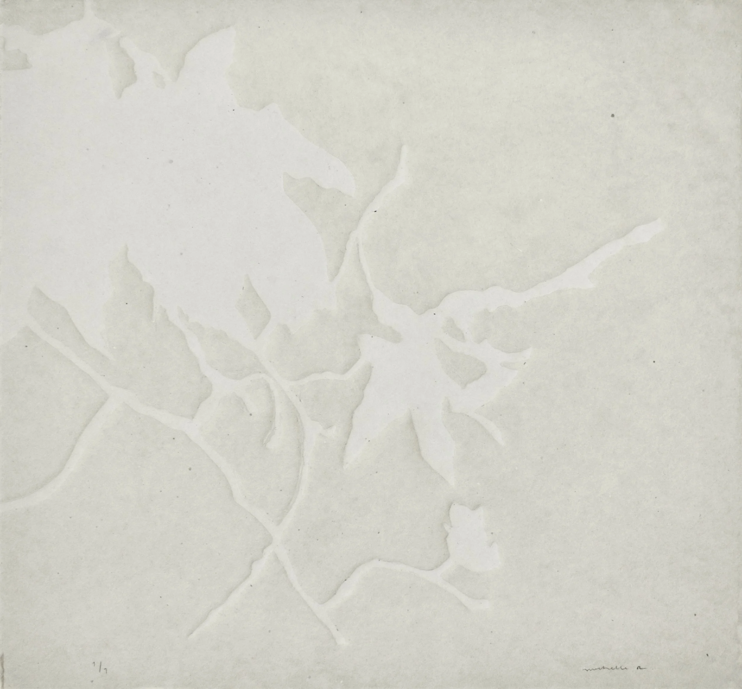 Magnolia map, 2025. Embossed linocut, 11" x 8"