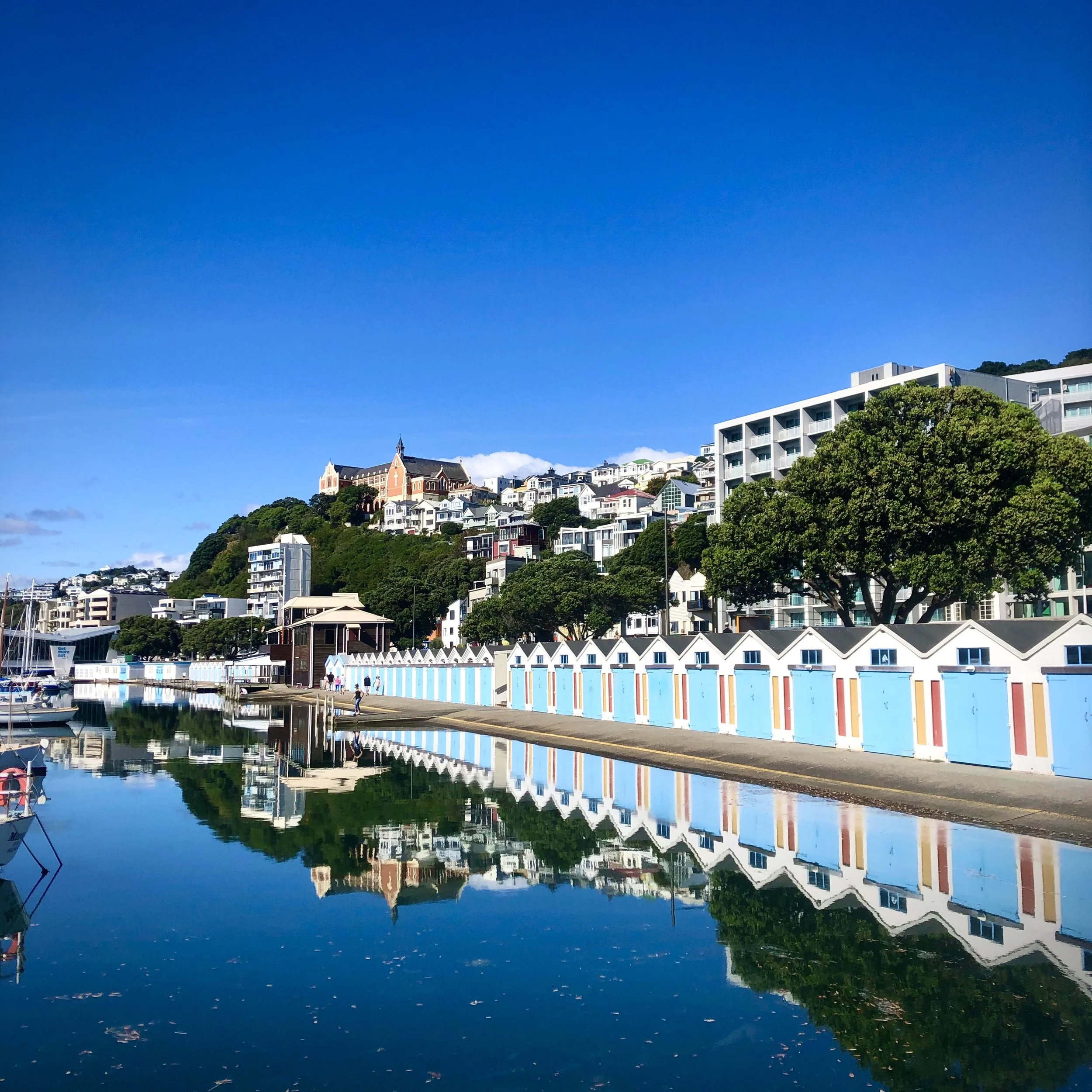 Consenting  |  Policy & Plan-making