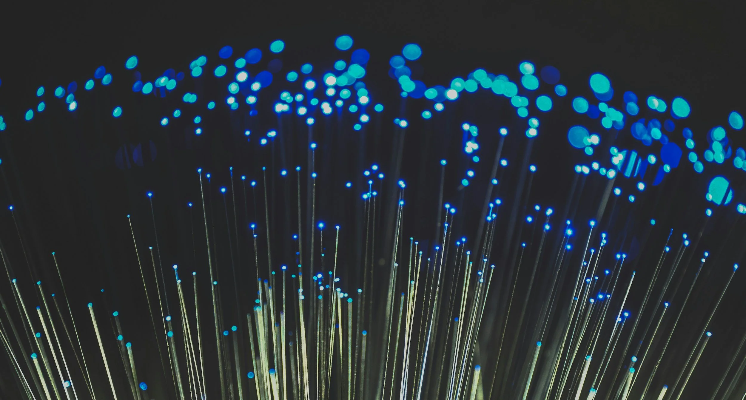 Close-up of fiber optic strands with glowing blue tips against a black background.