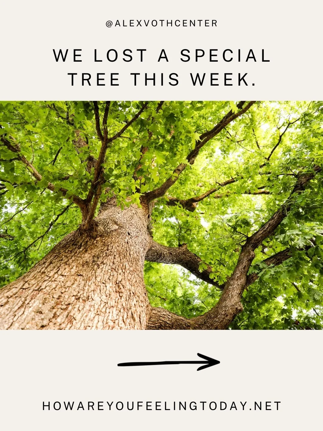 We lost a special tree this week @vothcenter, and it took me back to the first story I wrote: Theo&rsquo;s broken branch. 

Some losses are visible. Some hurts are harder to see. When we are able to tell the truth about loss it helps us move toward a