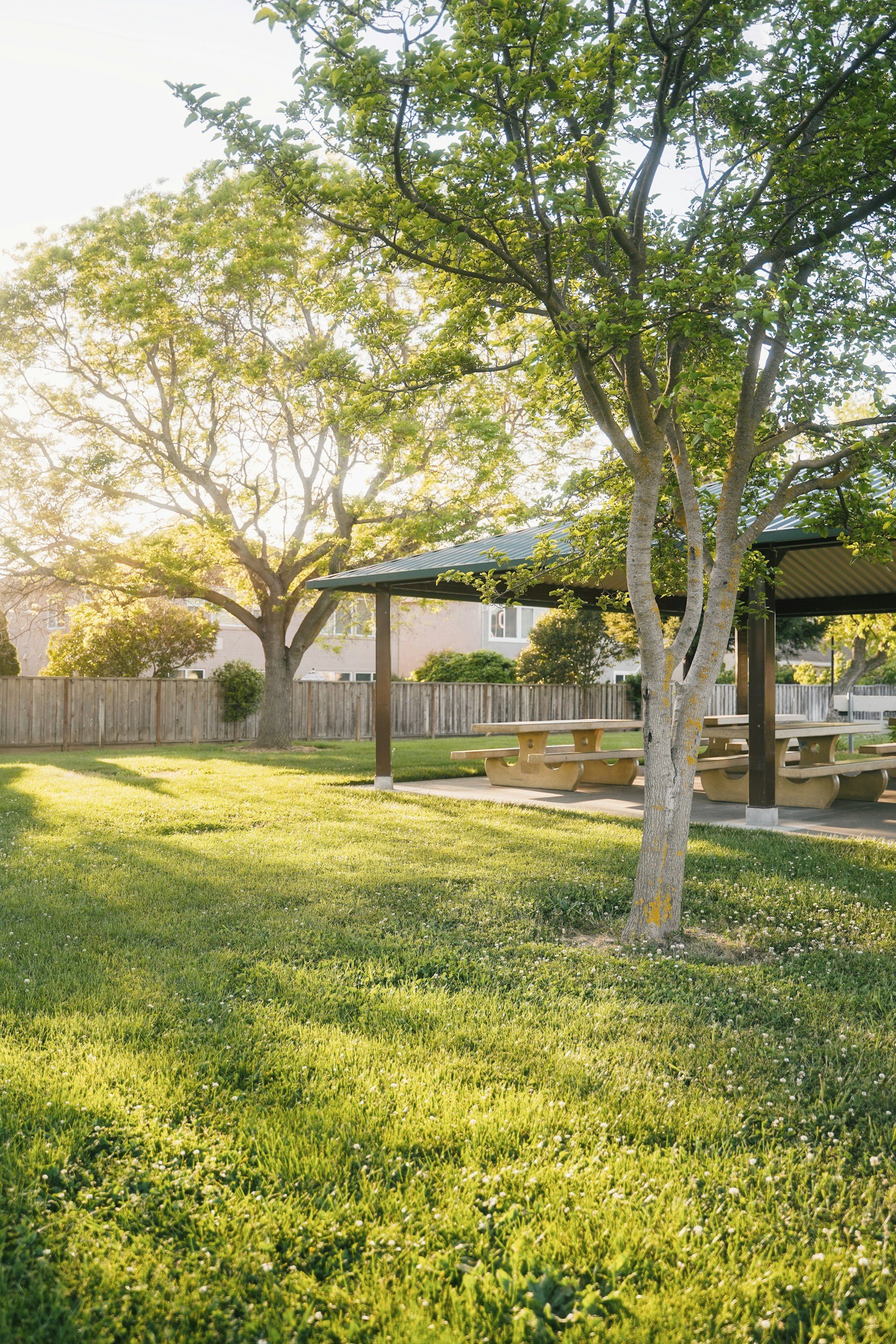 Sunlight filters through trees in a park with a grassy lawn, a wooden fence, and a picnic shelter with picnic tables.