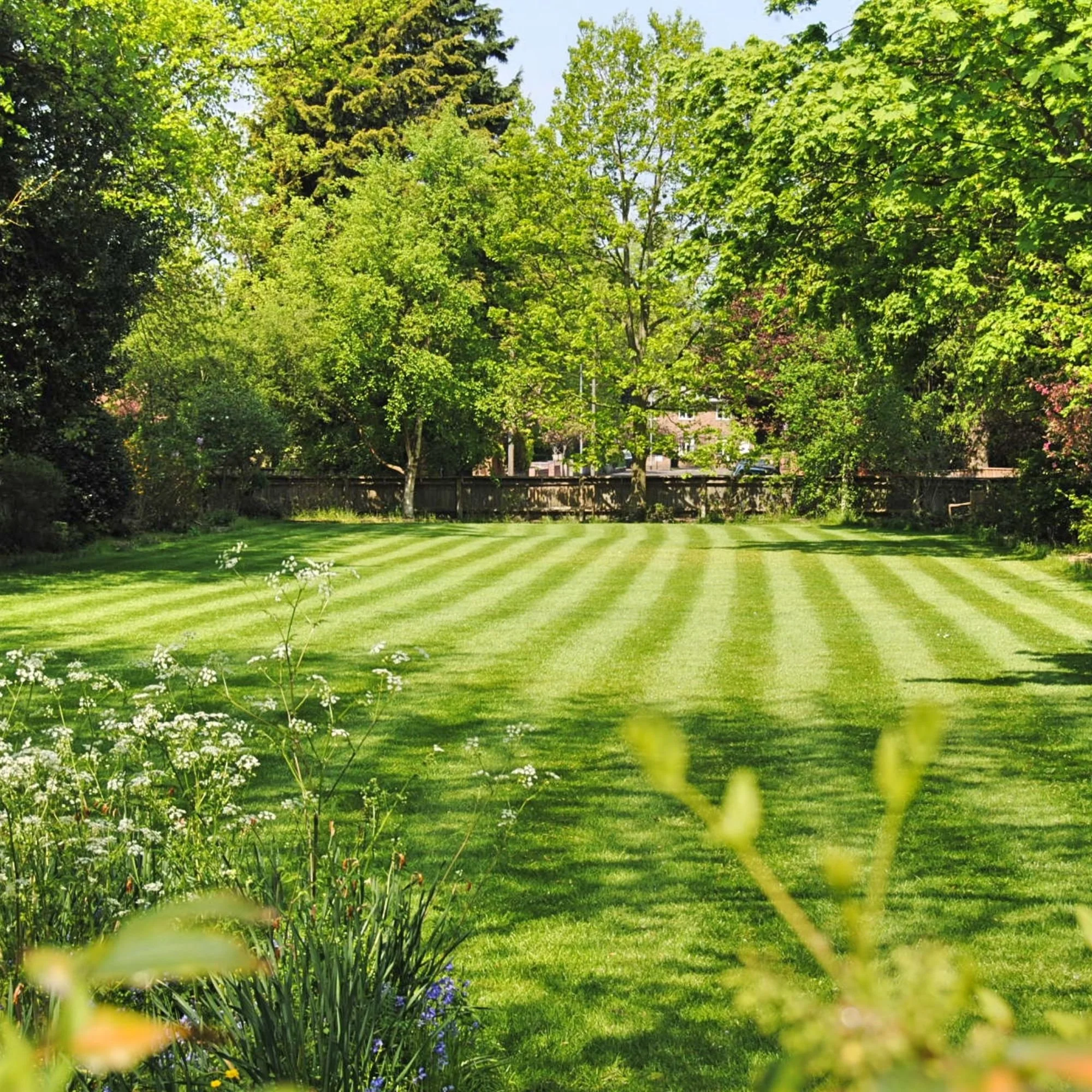 A lush green backyard with neatly mowed grass, surrounded by trees and flowering plants, on a sunny day.