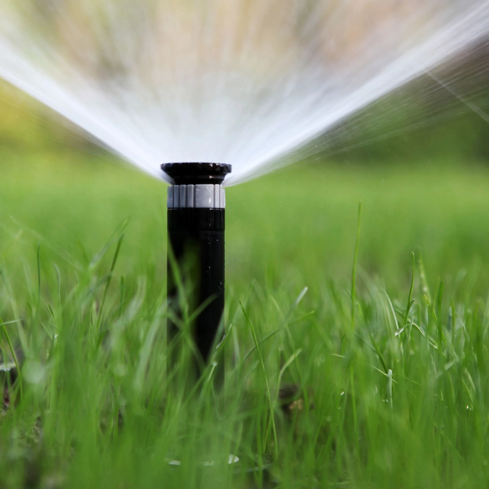 Close-up of a lawn sprinkler head spraying water over green grass.