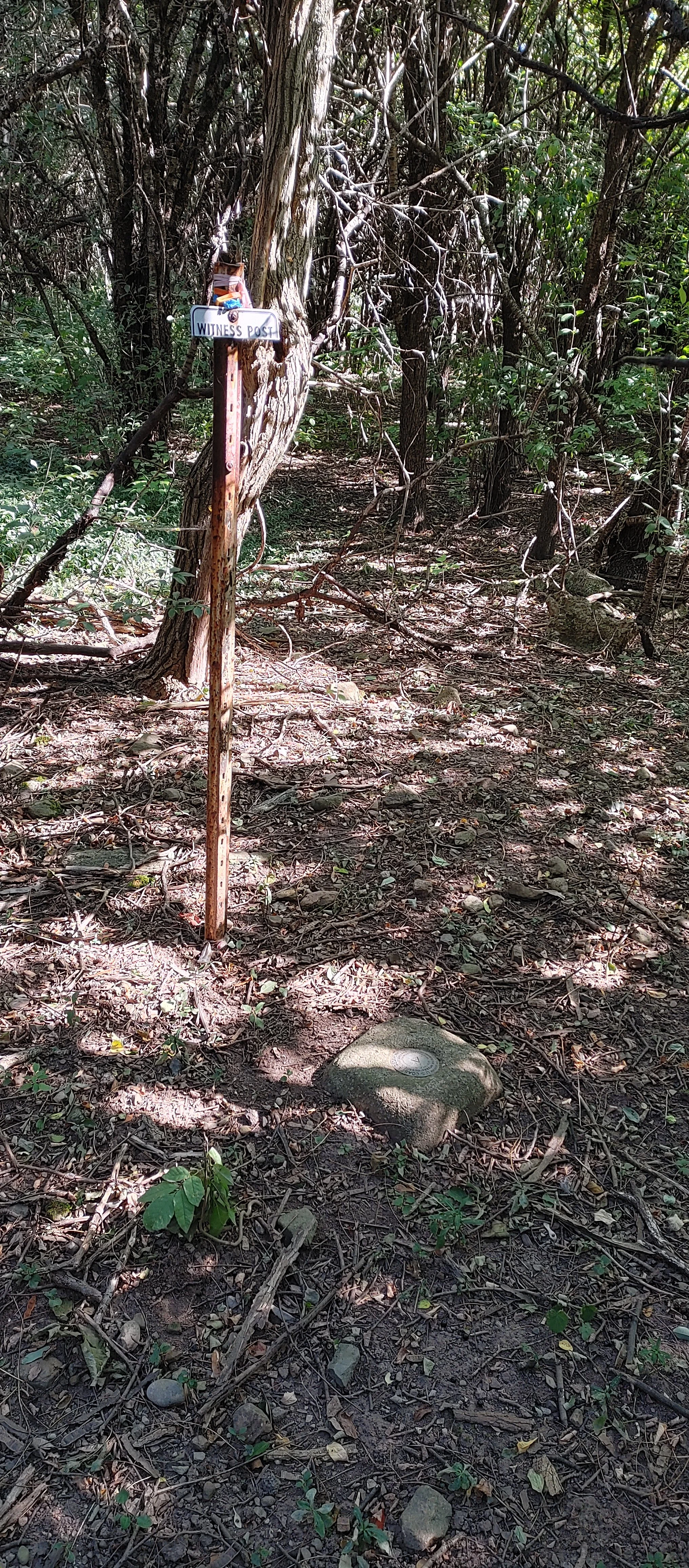 A forest trail with a wooden post holding a 'Witness Post' sign, surrounded by trees and dense foliage, with a small marker stone on the ground.