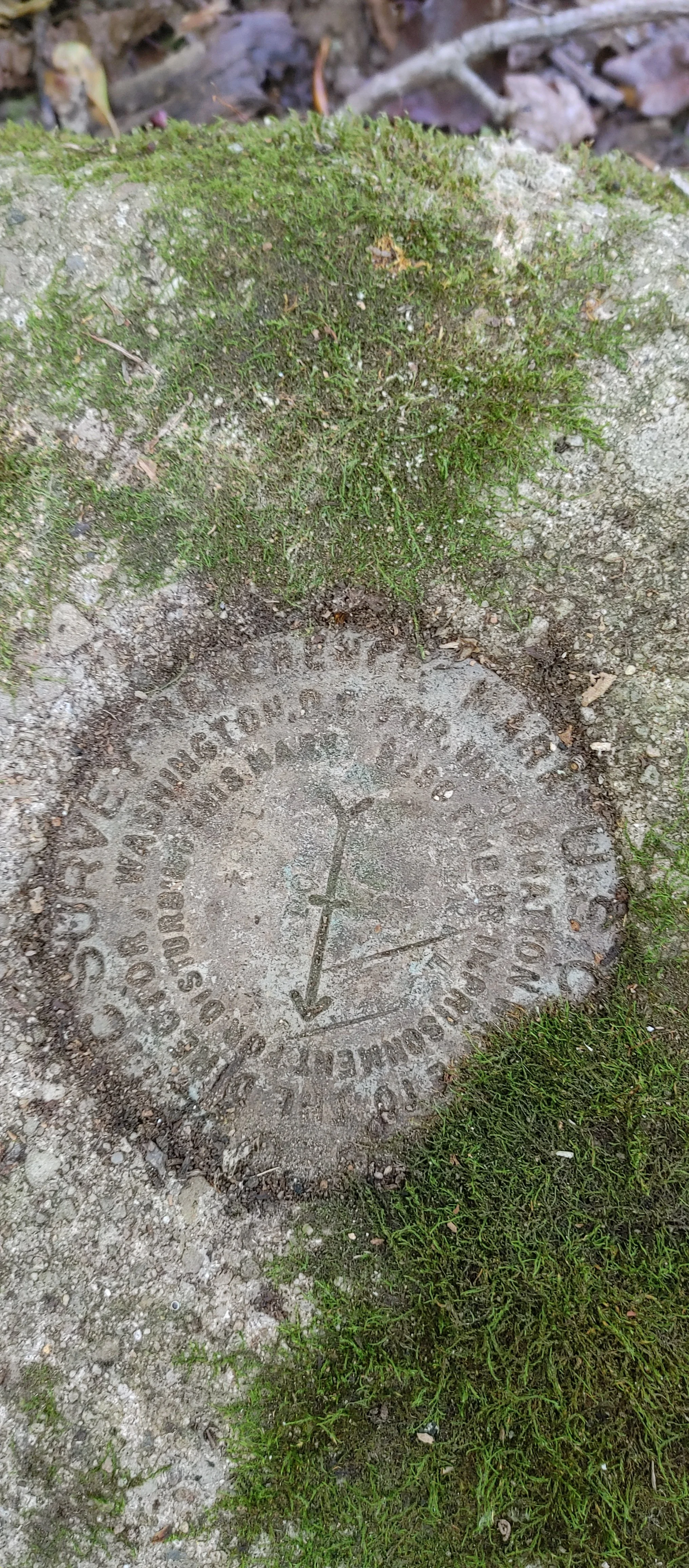 A circular survey marker embedded in the ground, surrounded by grass and dirt, with moss growing over part of it.