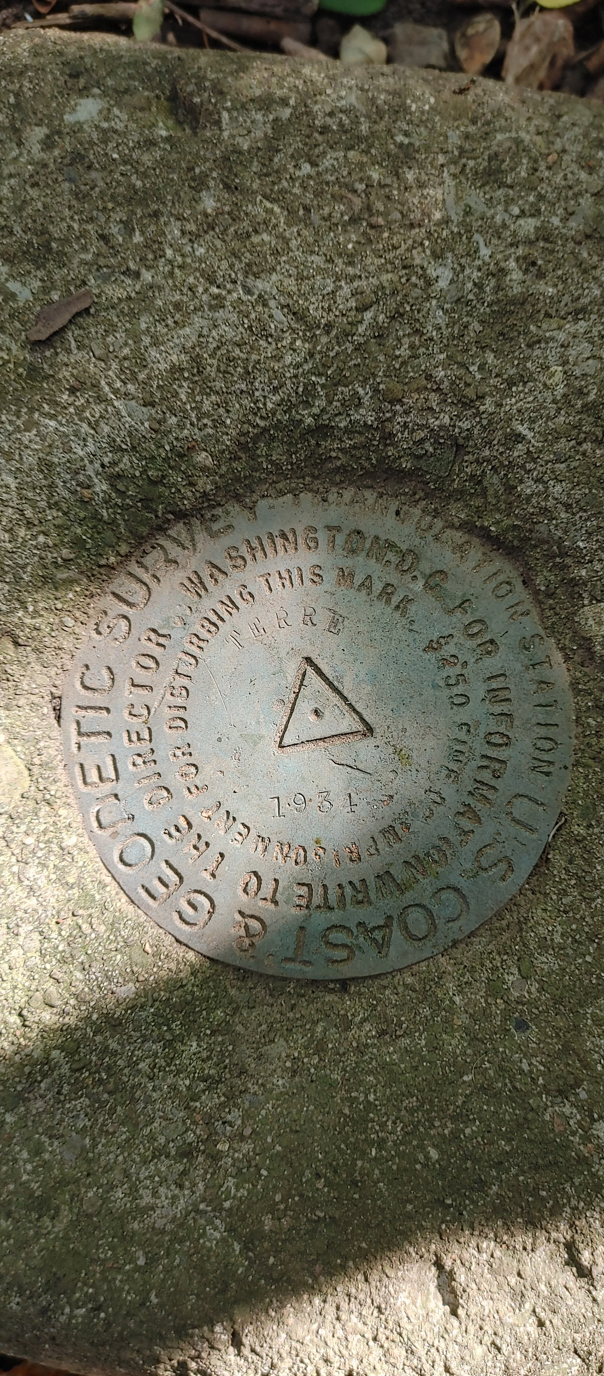 An old survey marker embedded in a mossy stone surface. The marker says: 'Washington County 1934, Geodetic Survey, Can't read full text, Triangle symbol in the center.'