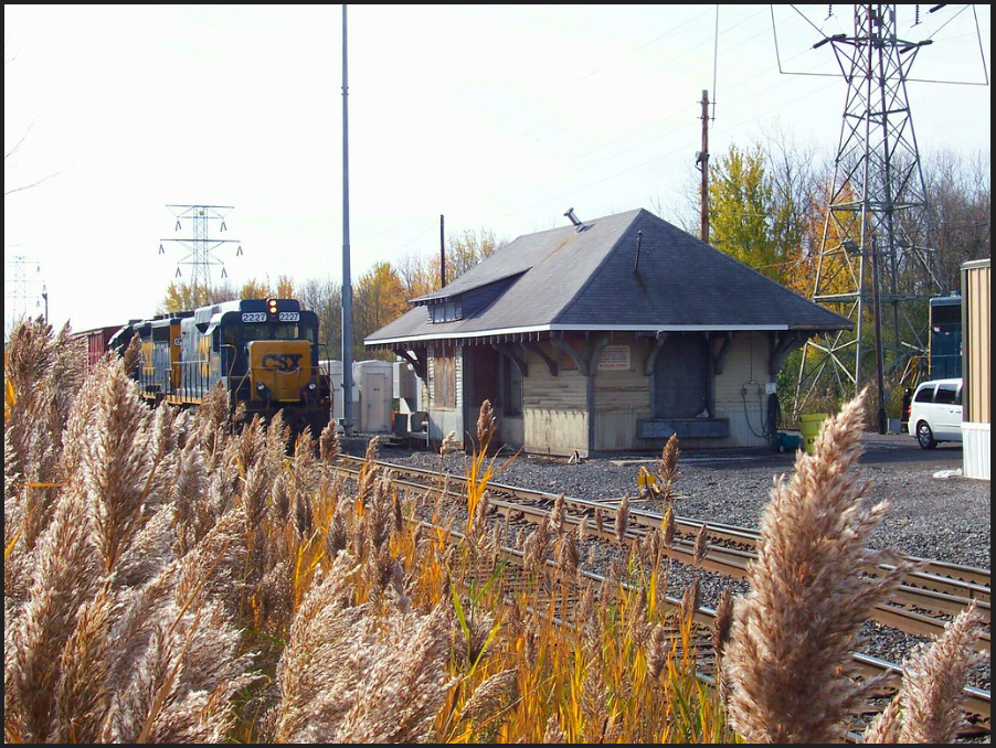 A train passing by an old railway station building surrounded by tall ornamental grasses, with electrical power lines and towers in the background.