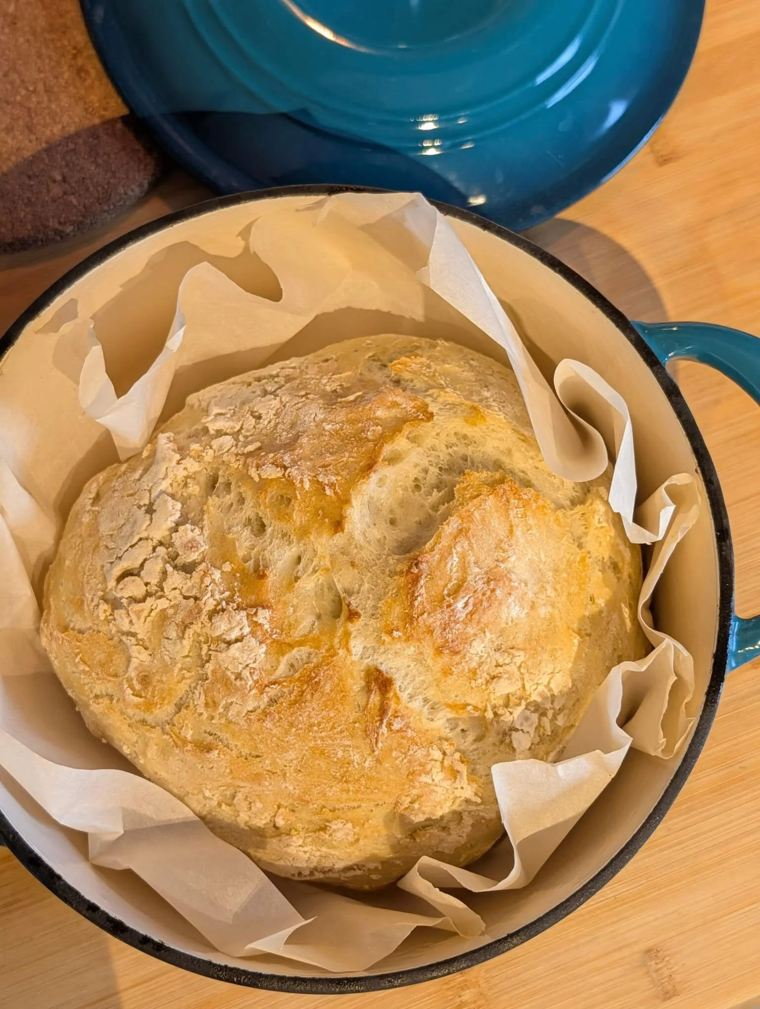 Freshly baked peasant bread in a teal Dutch oven, golden crust just out of the oven