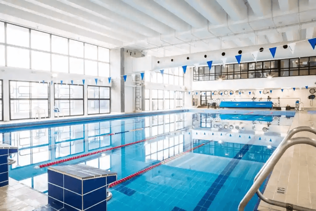 French International School .png