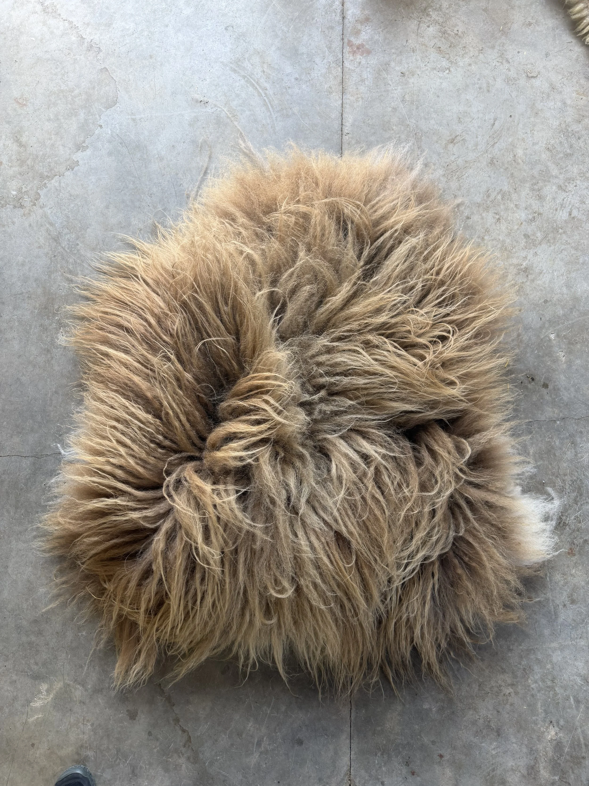 Icelandic Sheep Rug