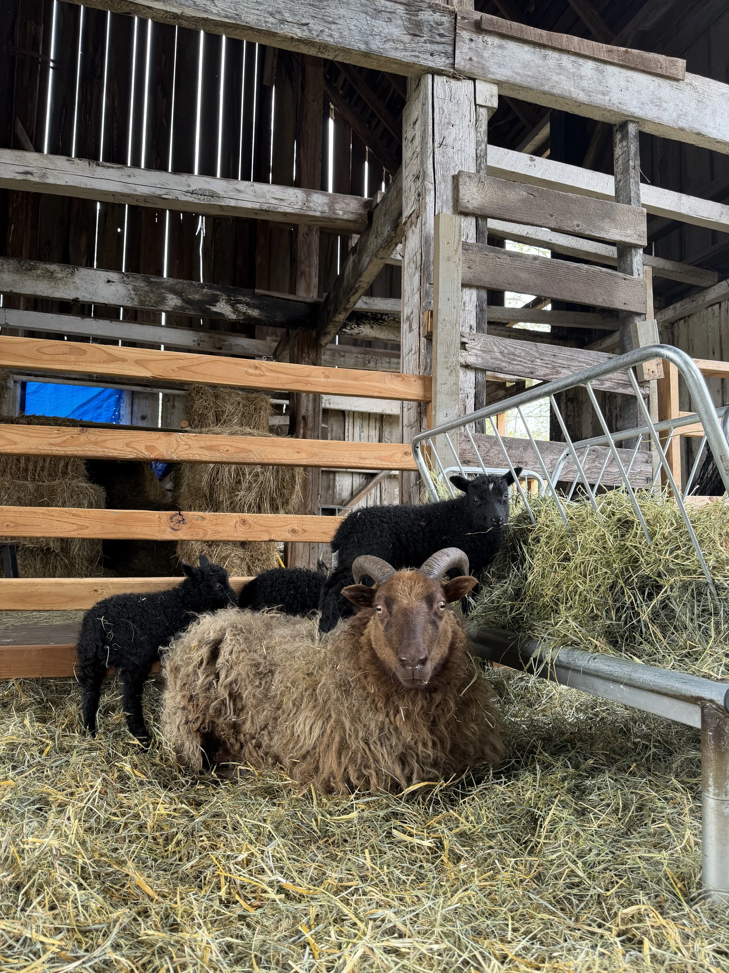 Donate a Bale of Hay