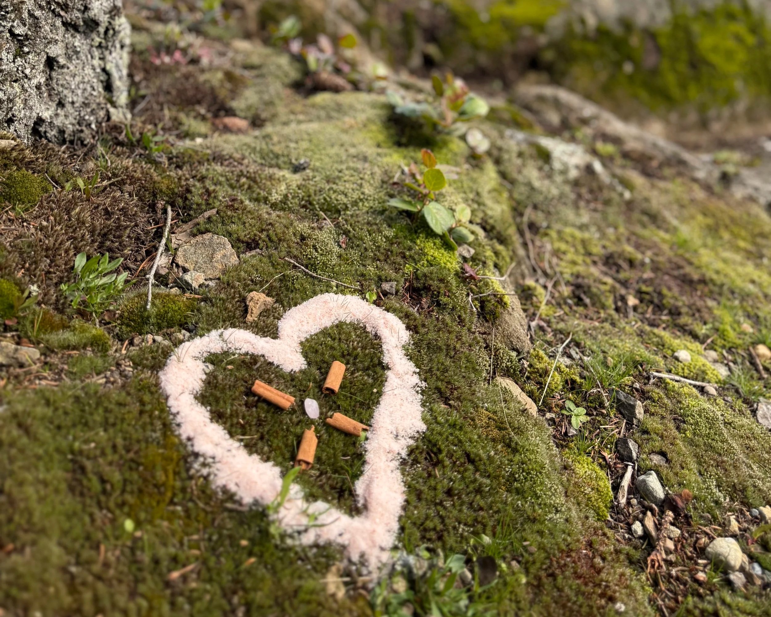 Heart Space Coherence Seattle 