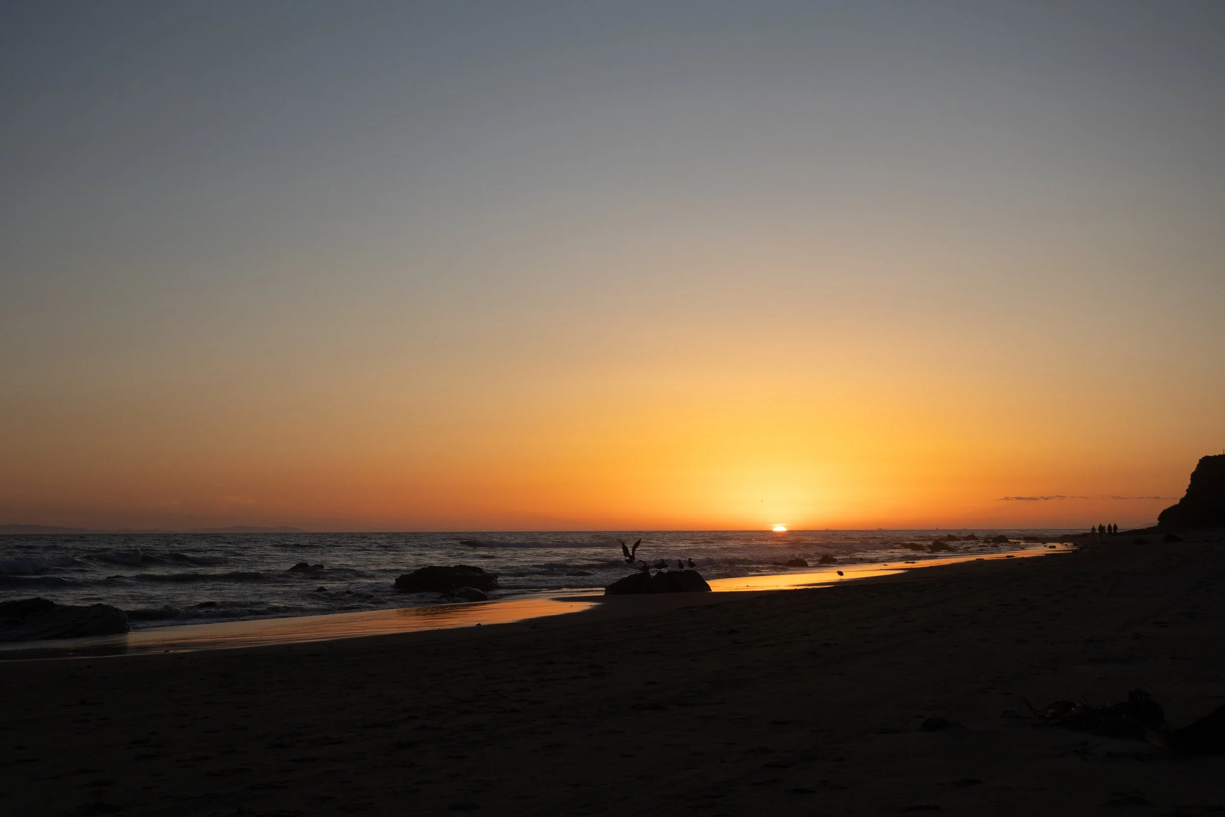 Sunset over the ocean with a dark silhouetted beach, rocks in the water, and a bird with outstretched wings on a rock in the foreground.