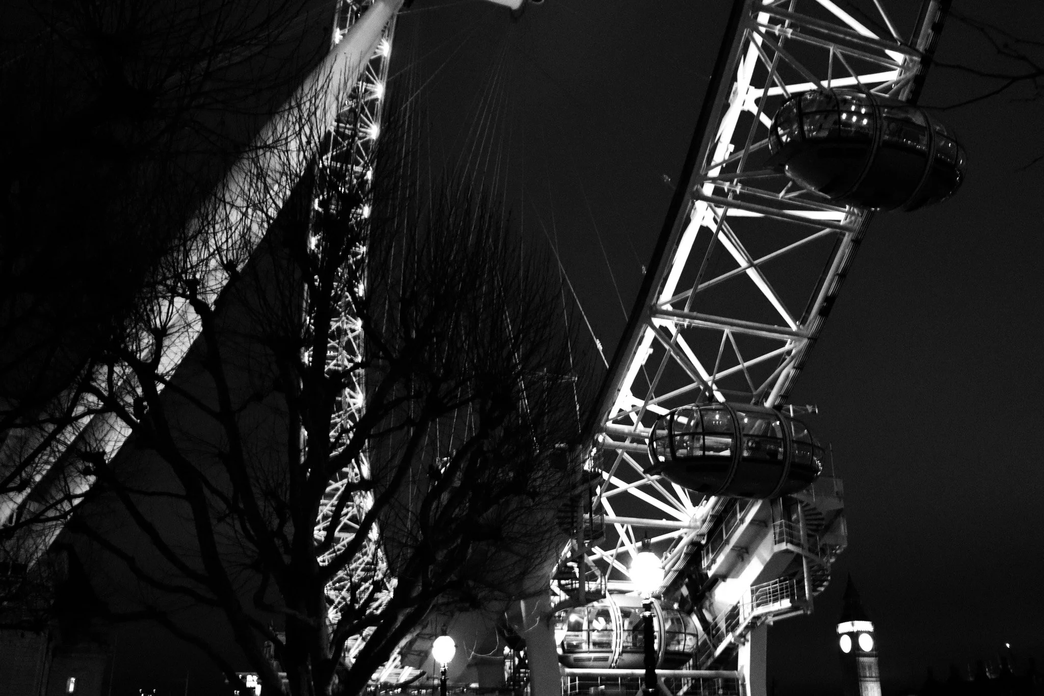 Night view of the London Eye ferris wheel with illuminated cabins and trees in the foreground.
