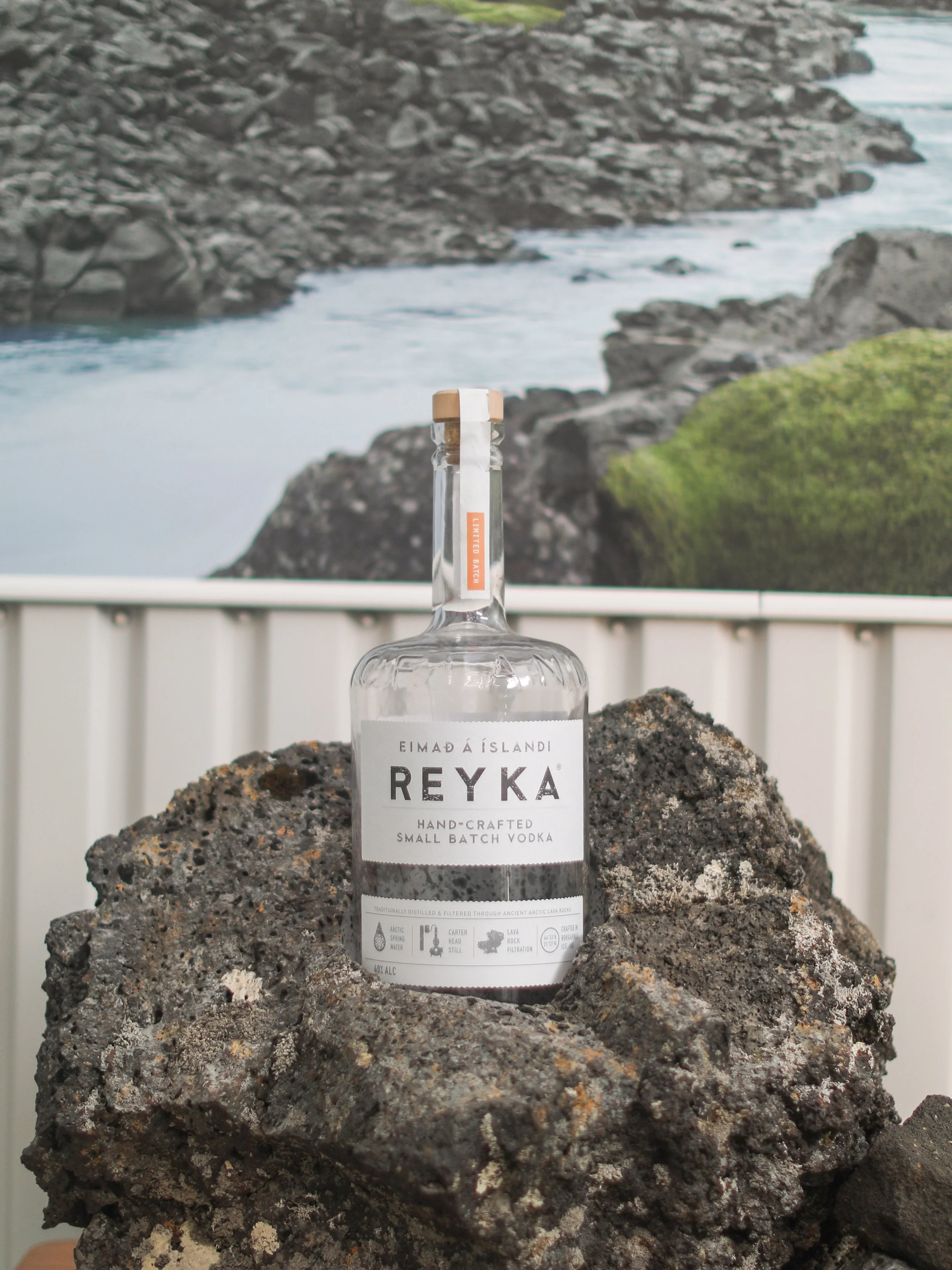 Reyka_Done-6.jpg